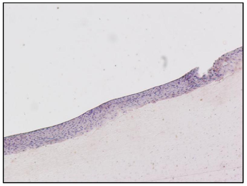 Toxics 10 00420 g006 Toxics 10 00420 g006