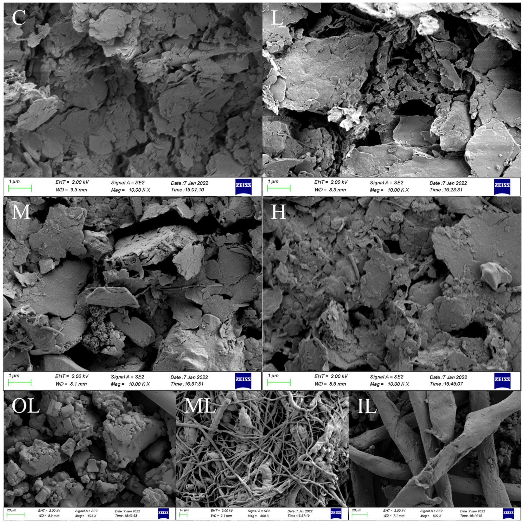 Toxics 10 00426 g002