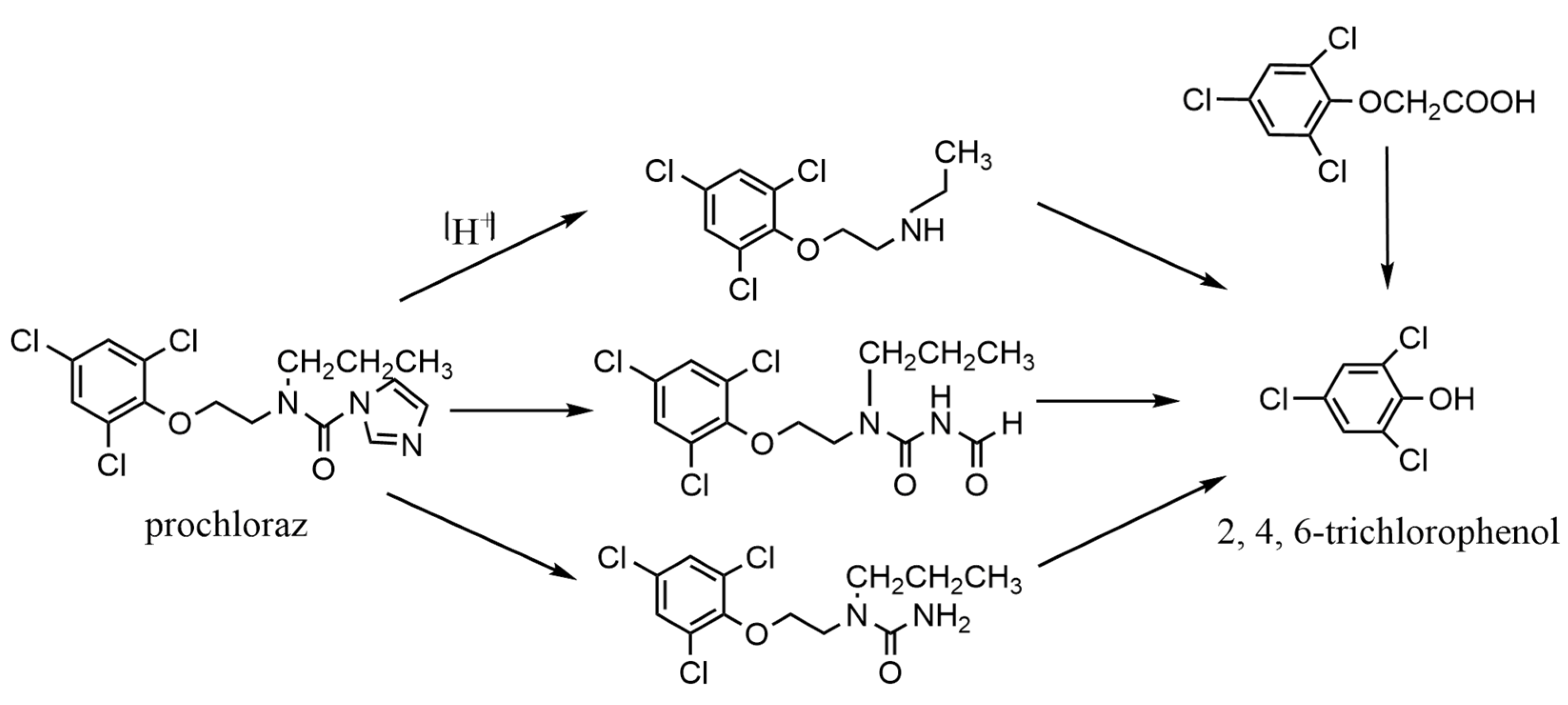 Toxics 10 00435 g001