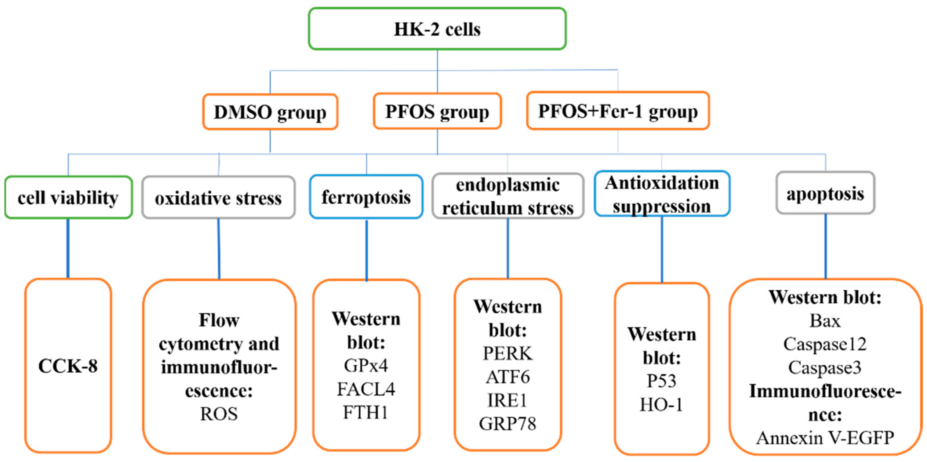 Toxics 10 00436 g001