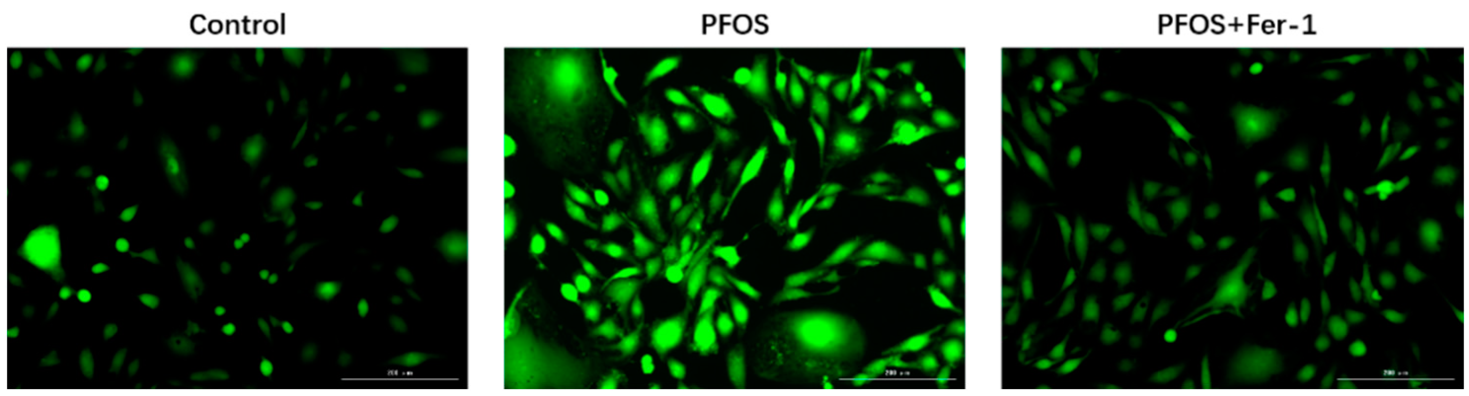 Toxics 10 00436 g005