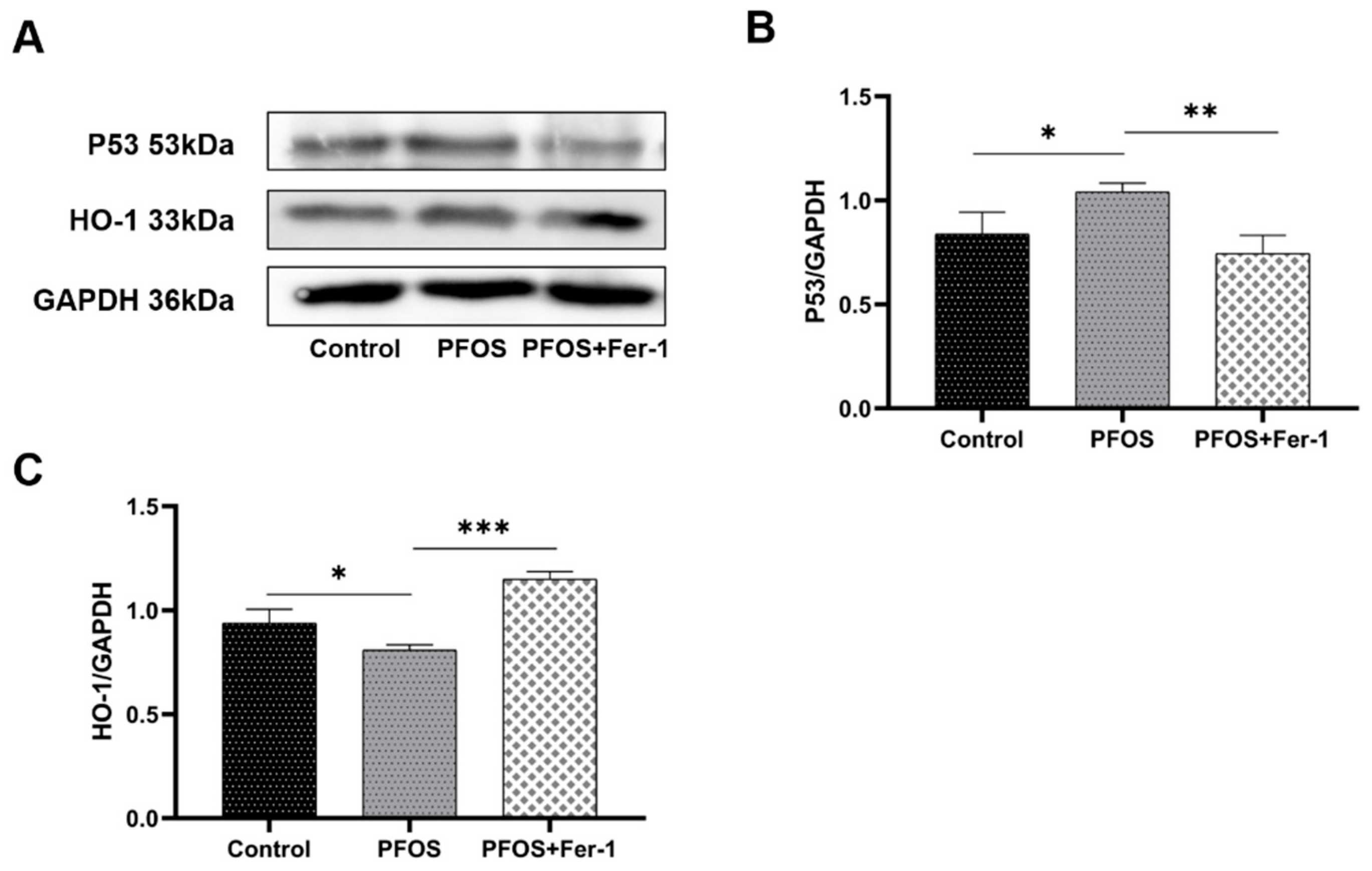 Toxics 10 00436 g009