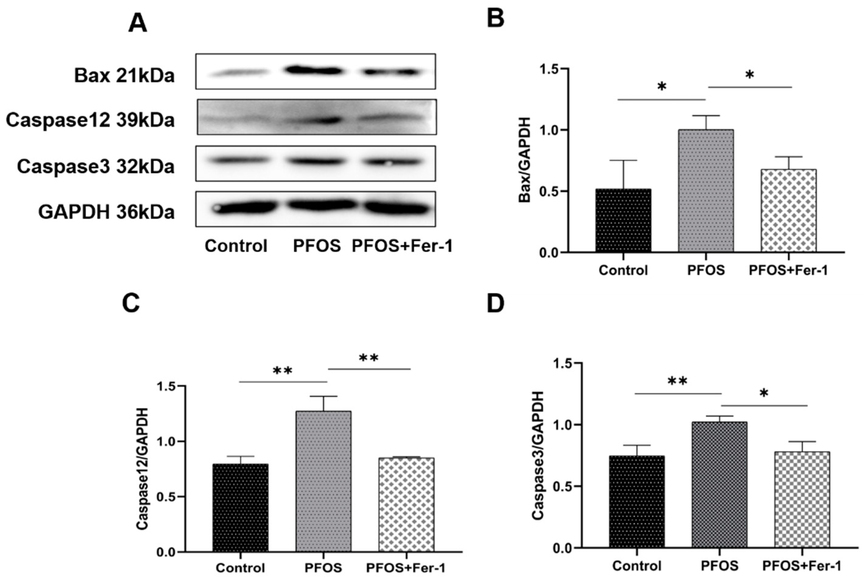Toxics 10 00436 g010