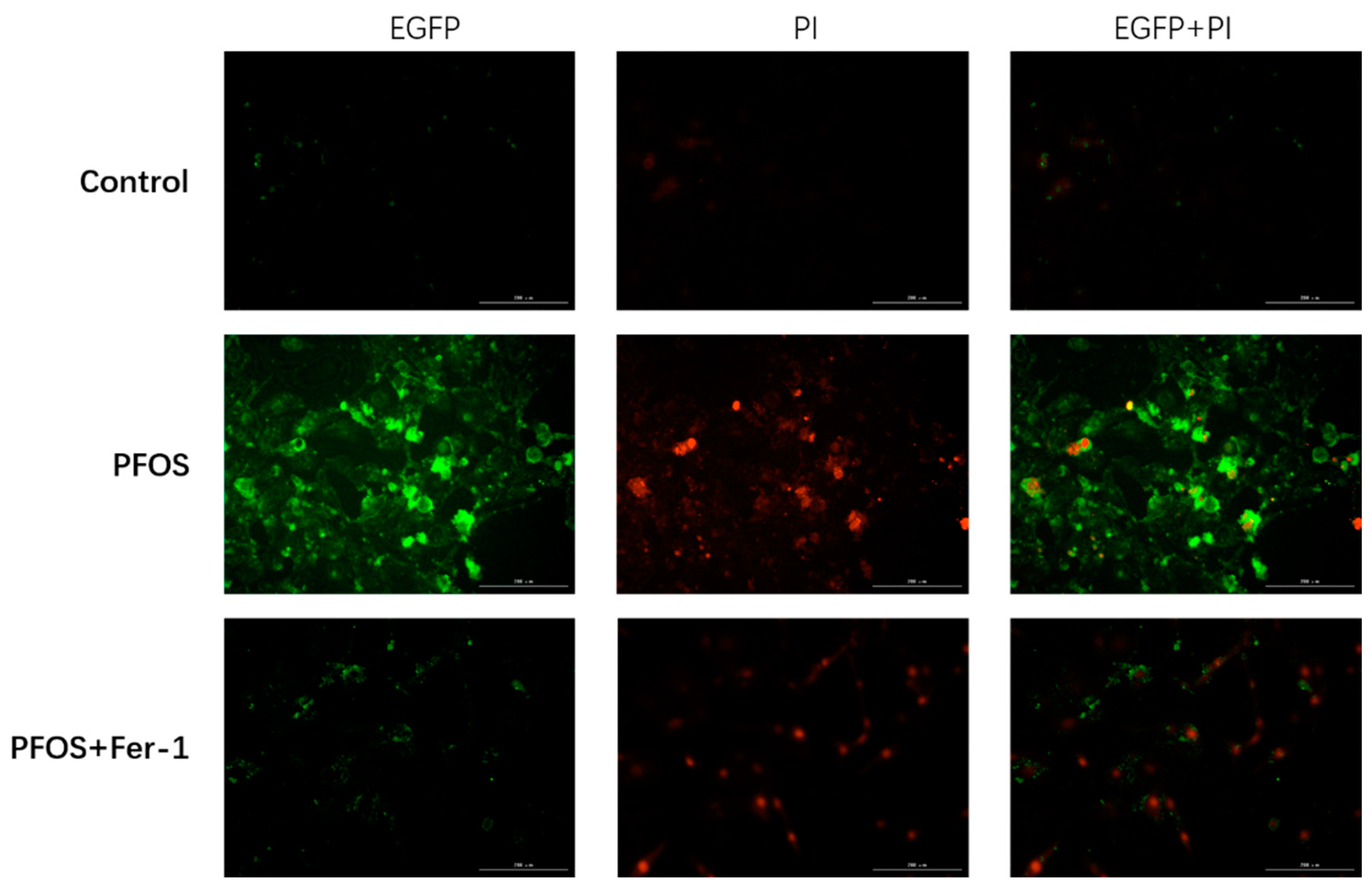 Toxics 10 00436 g011