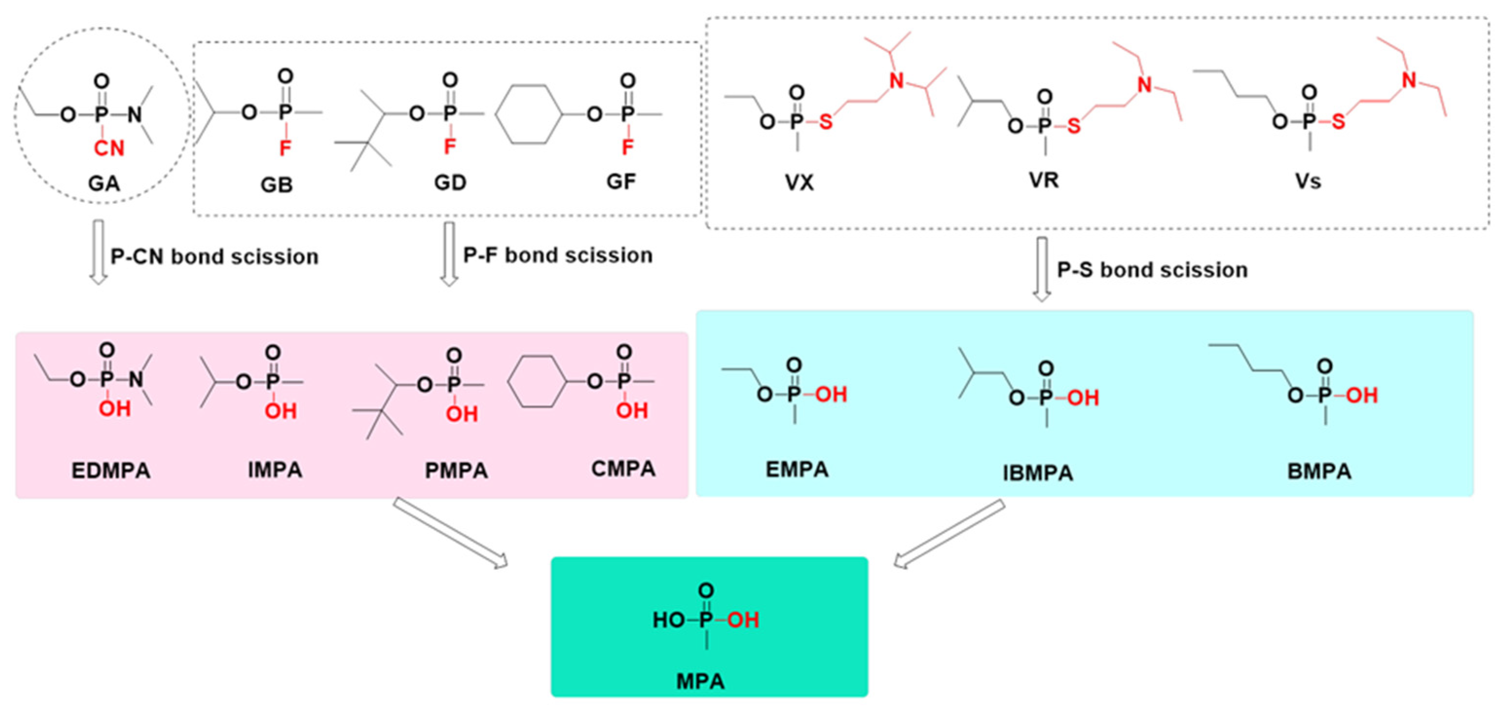 Toxics 10 00439 g002