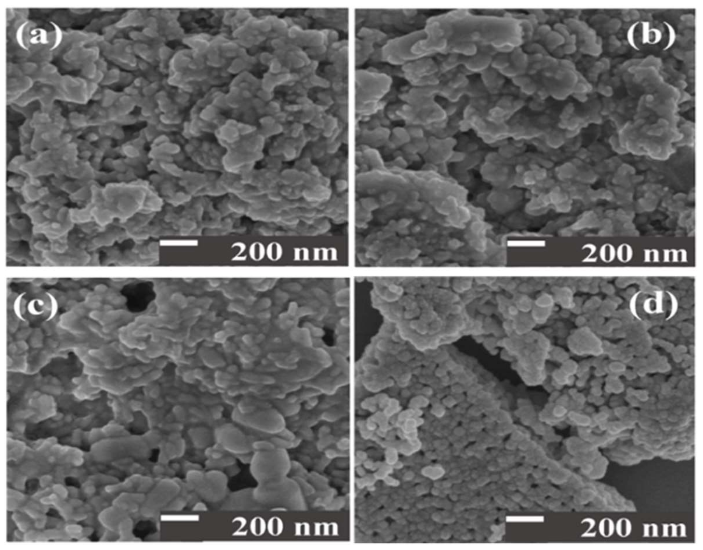 Toxics 10 00463 g002