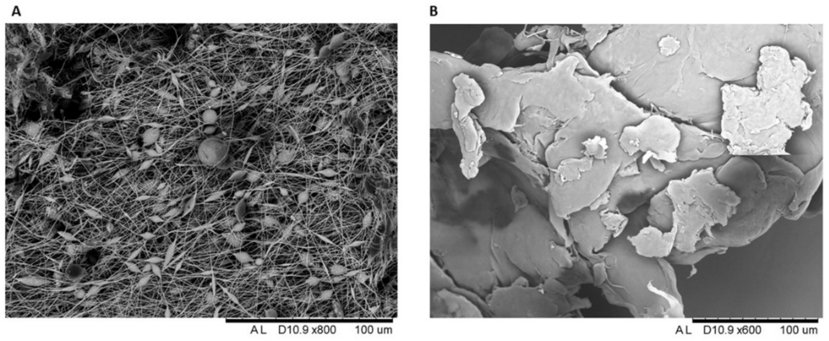 Toxics 10 00479 g003 Toxics 10 00479 g003