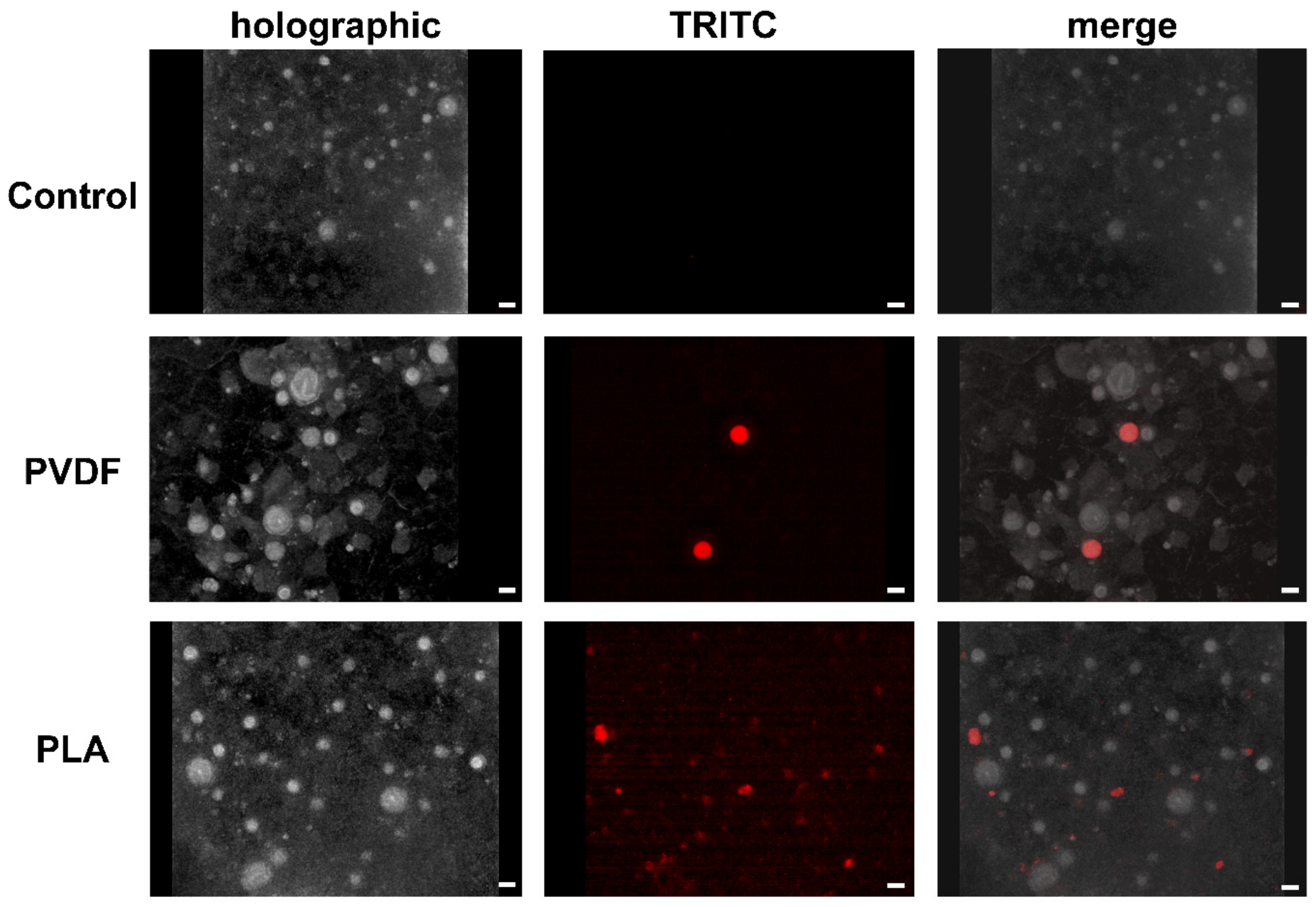 Toxics 10 00479 g005 Toxics 10 00479 g005