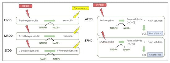Toxics 10 00482 g0a1 550