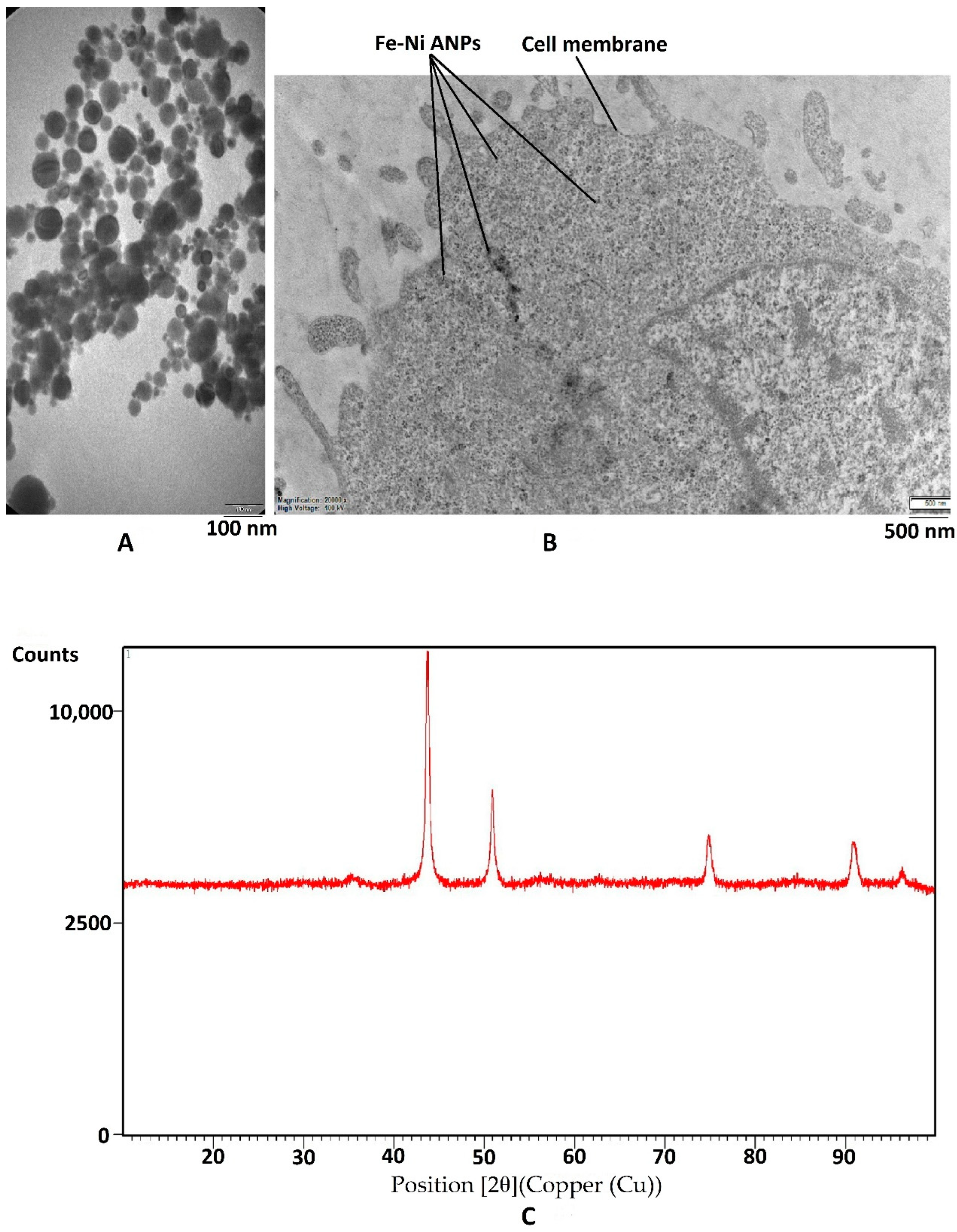 Toxics 10 00492 g001