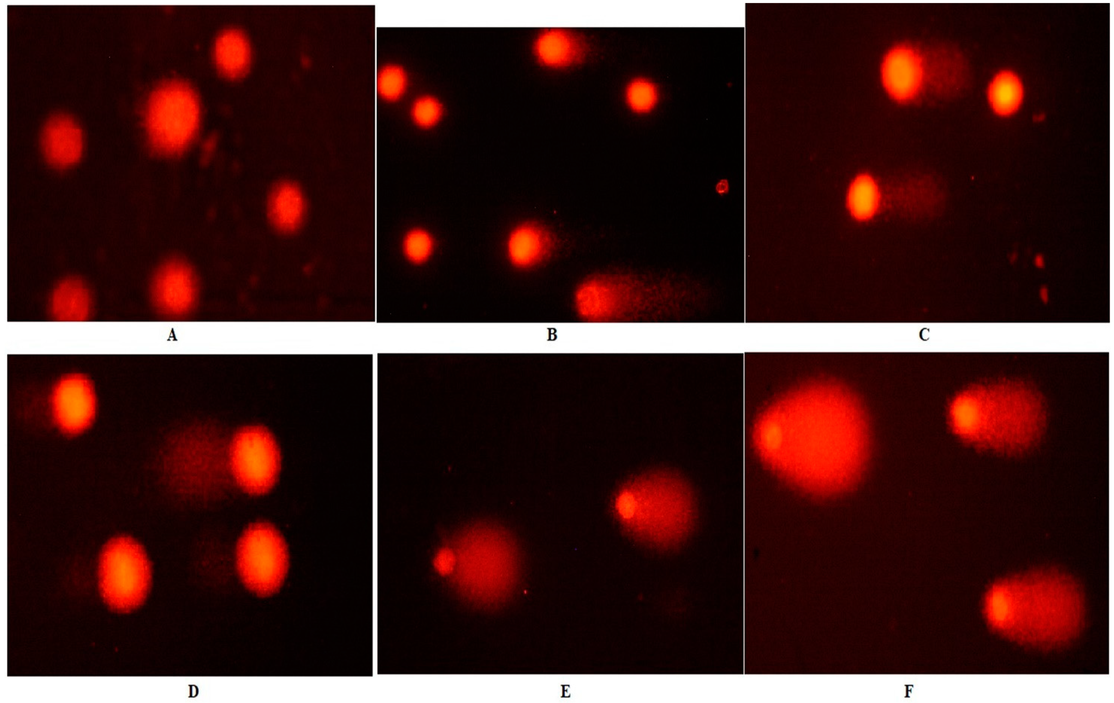 Toxics 10 00492 g003