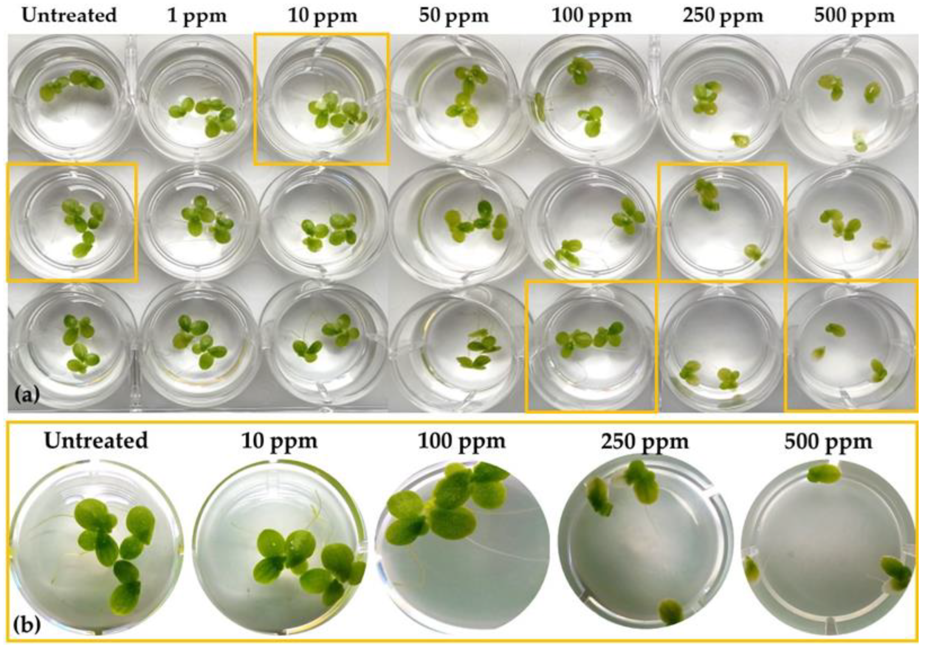 Toxics 10 00494 g001
