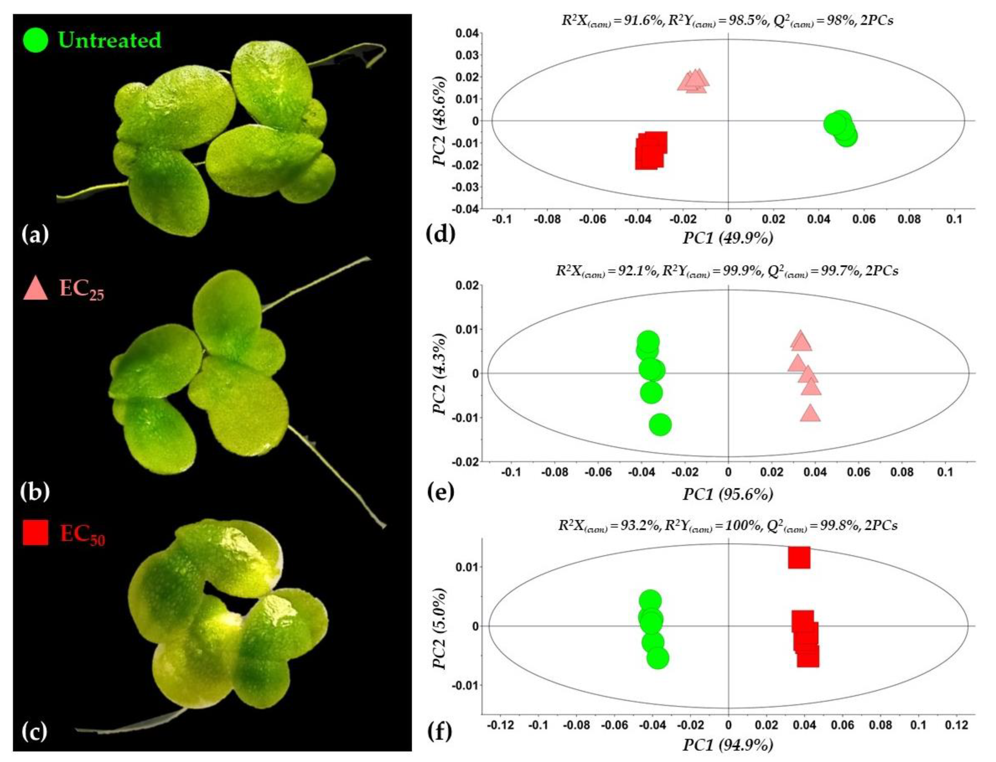 Toxics 10 00494 g003