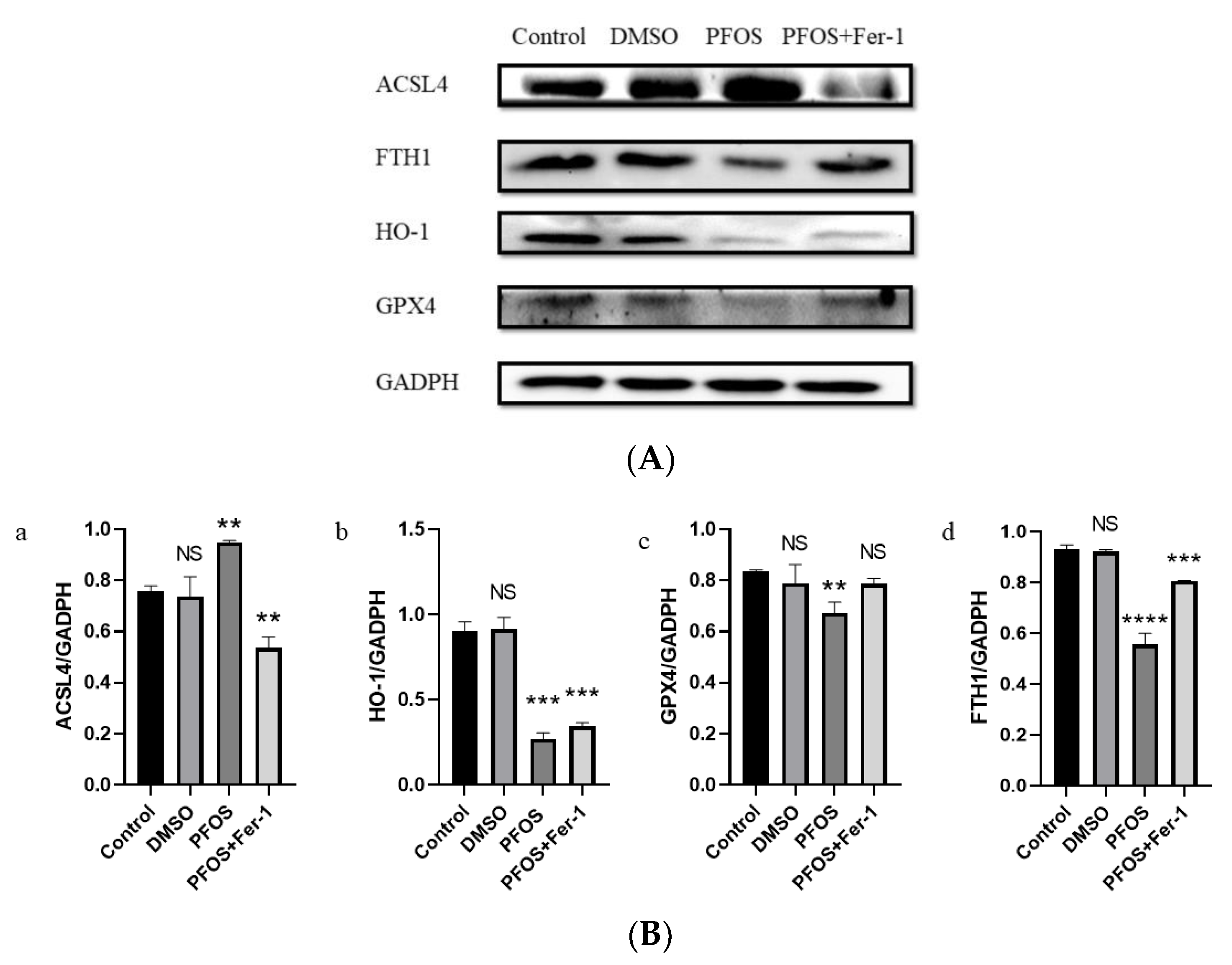 Toxics 10 00503 g004
