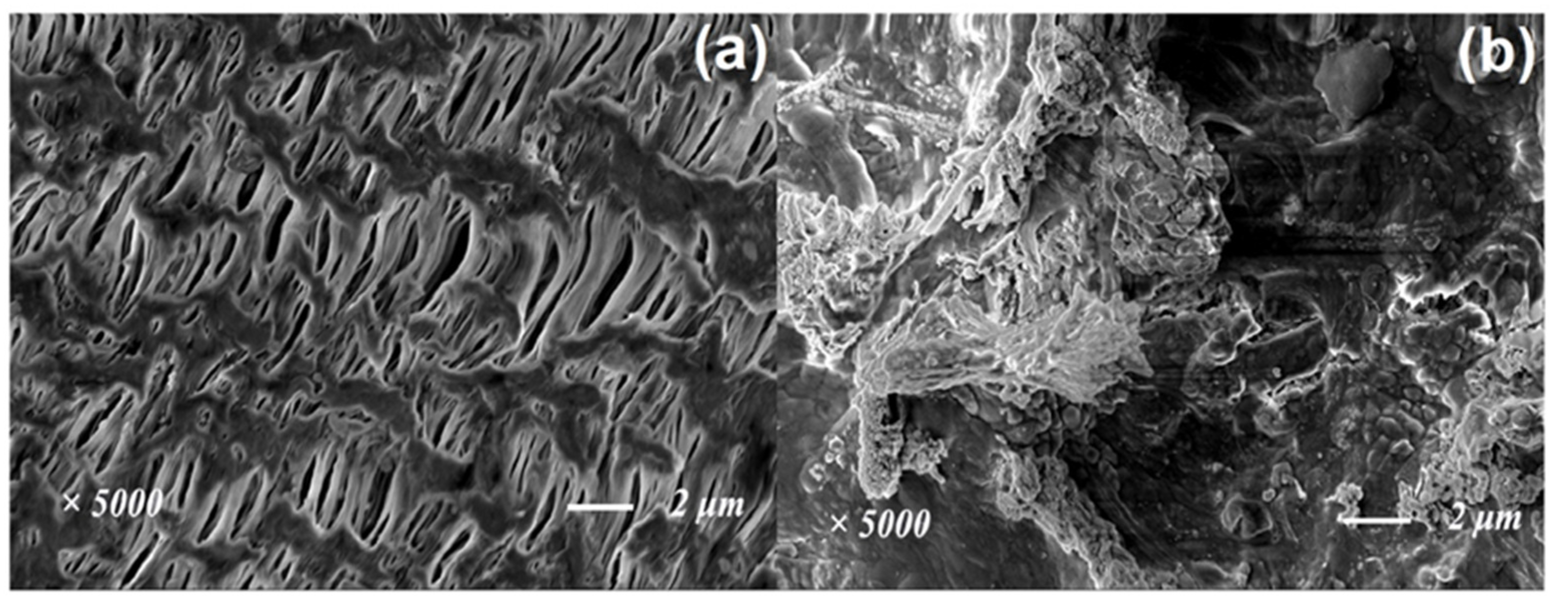 Toxics 10 00505 g011