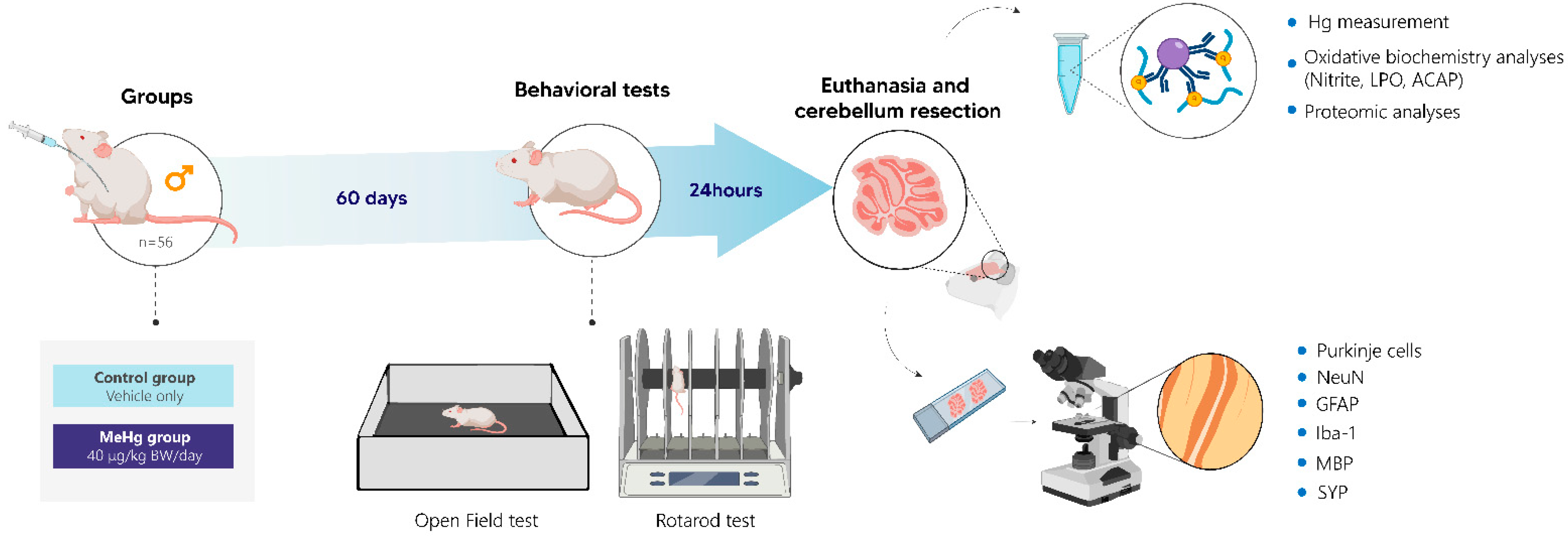 Toxics 10 00531 g001