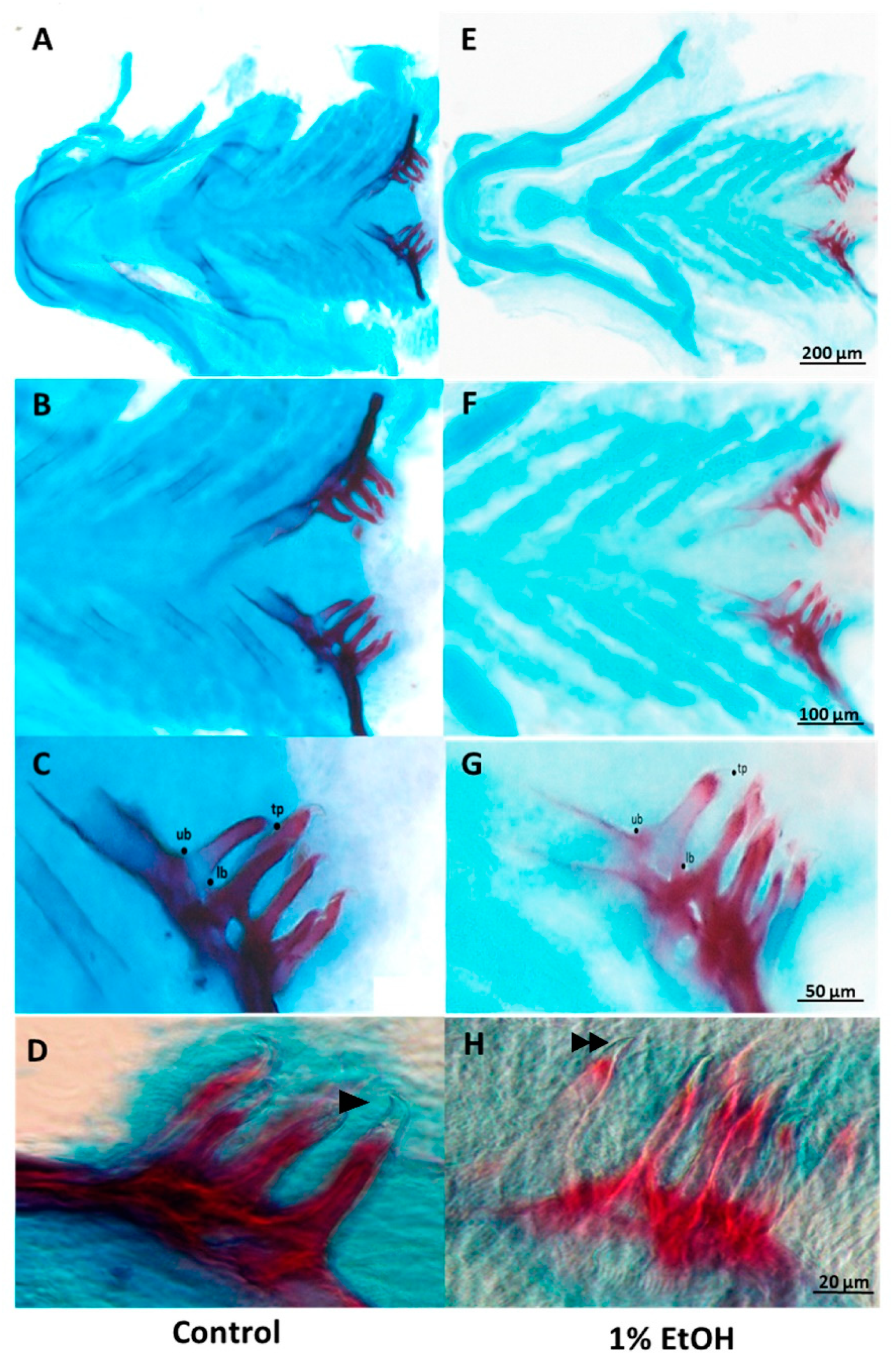 Toxics 10 00544 g001