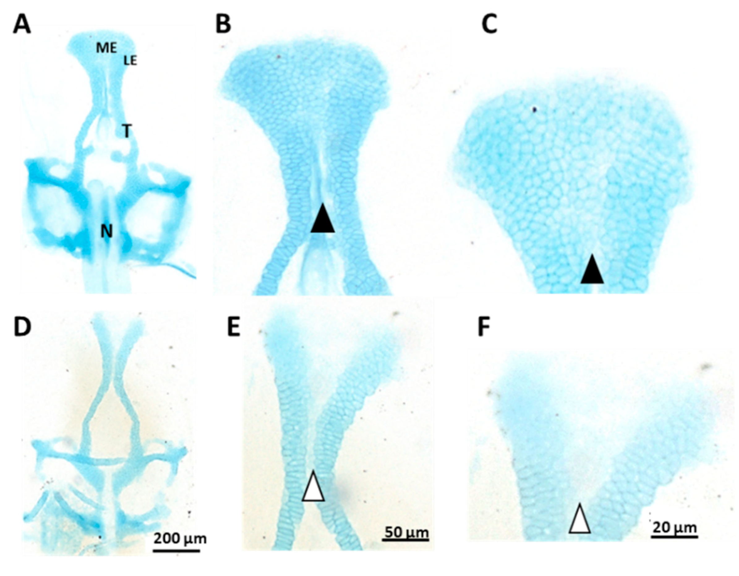 Toxics 10 00544 g004