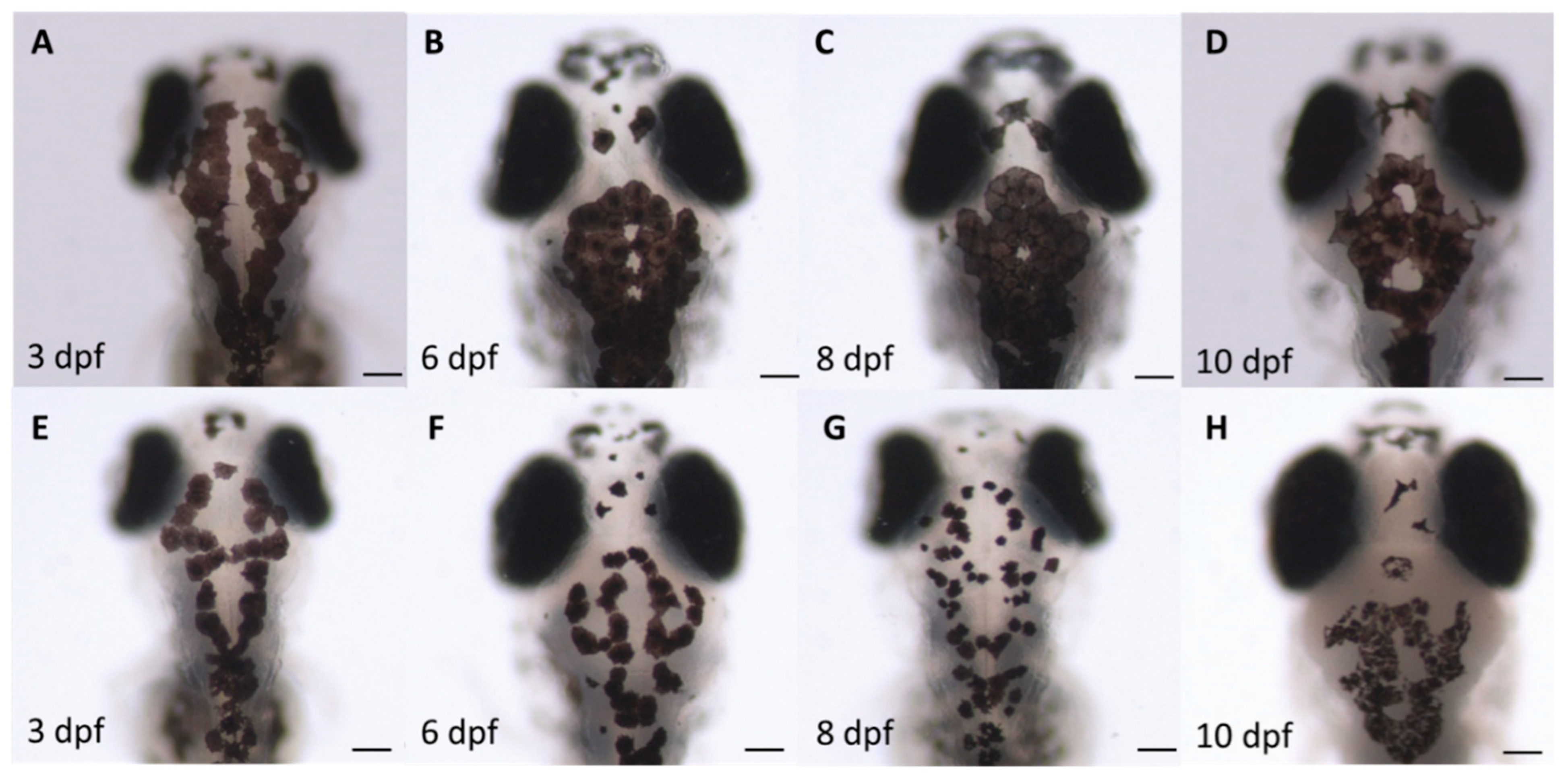 Toxics 10 00544 g006