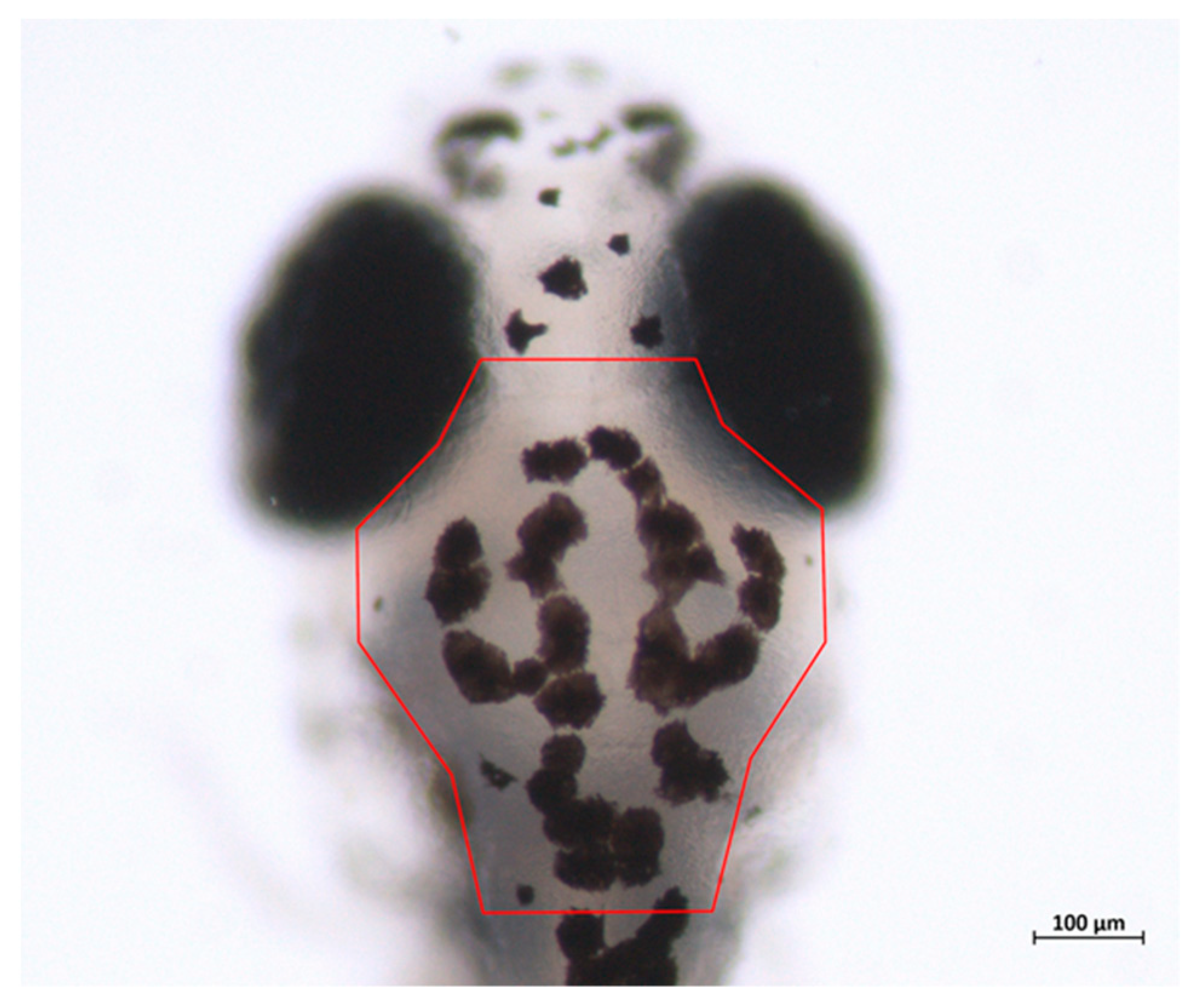 Toxics 10 00544 g007