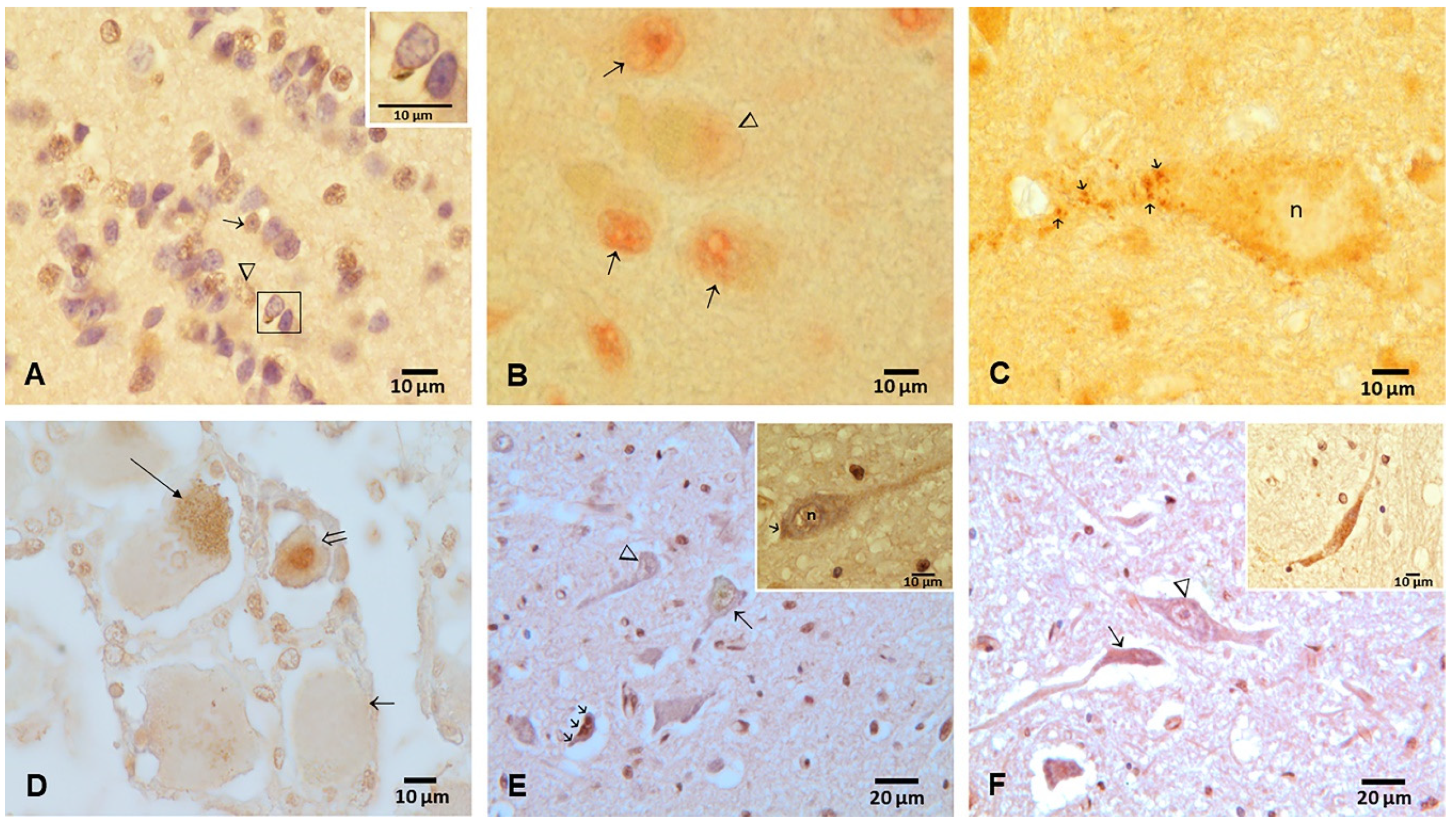 Toxics 10 00559 g004