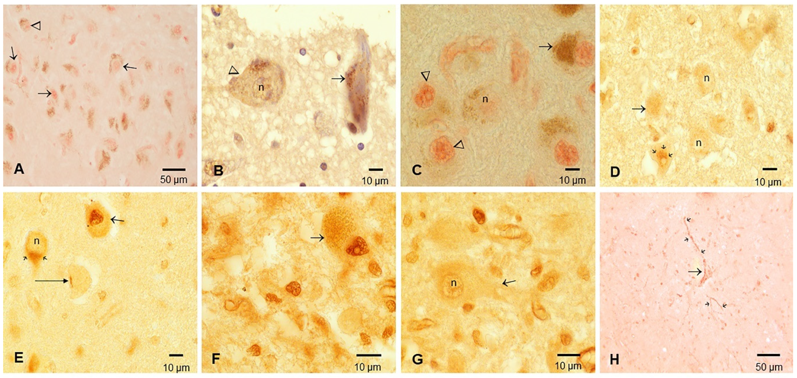Toxics 10 00559 g005