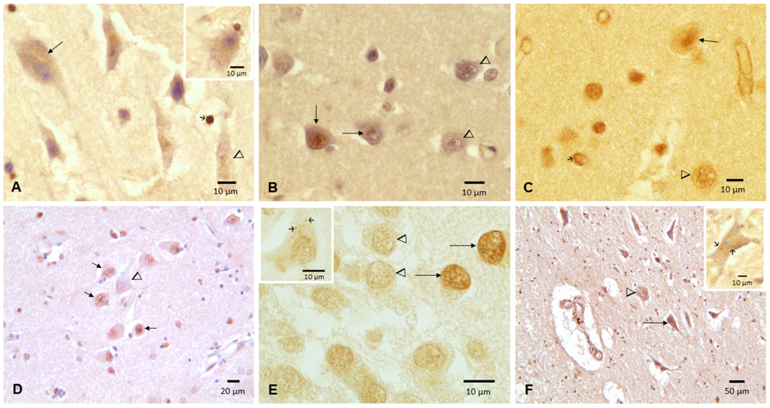 Toxics 10 00559 g006