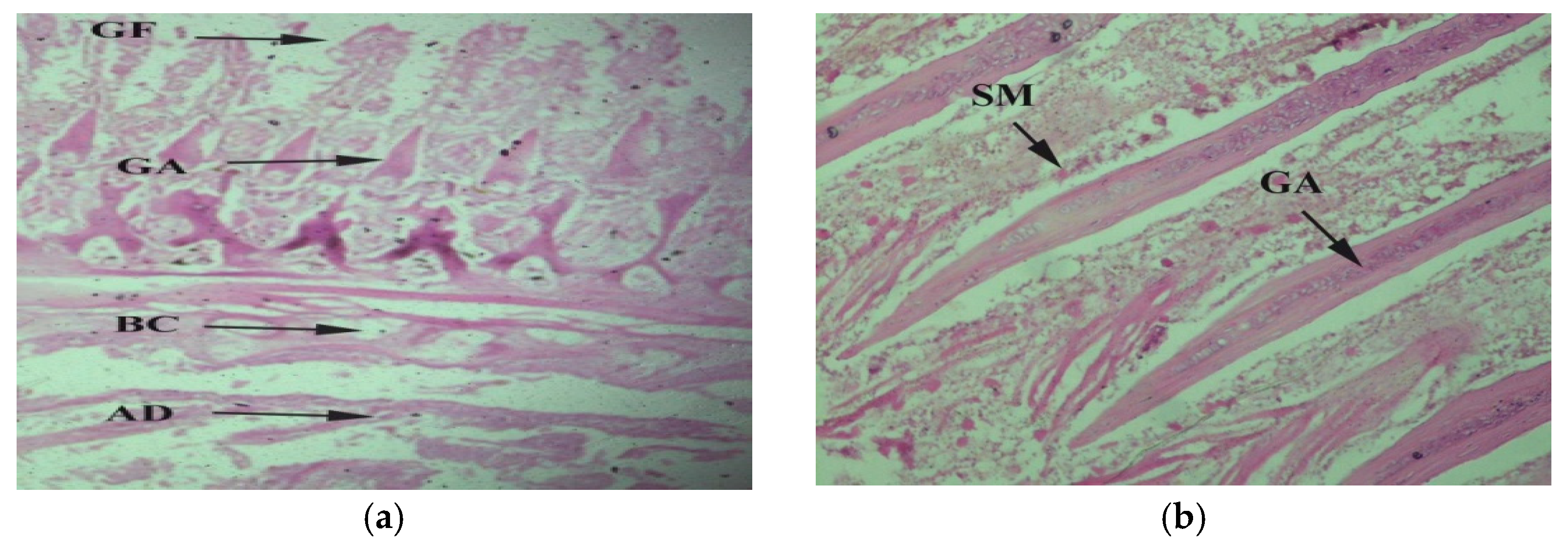 Toxics 10 00564 g003