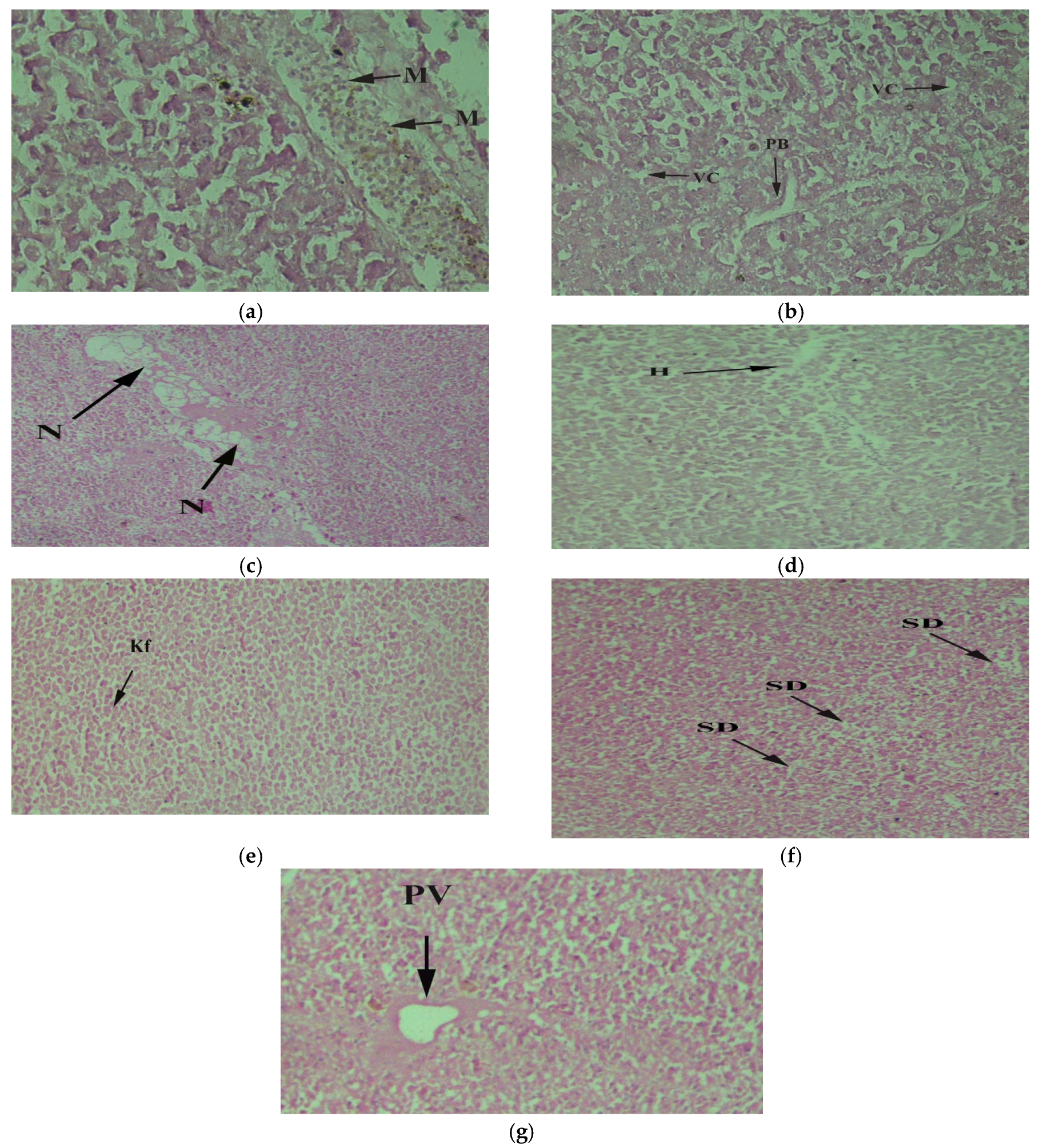 Toxics 10 00564 g004