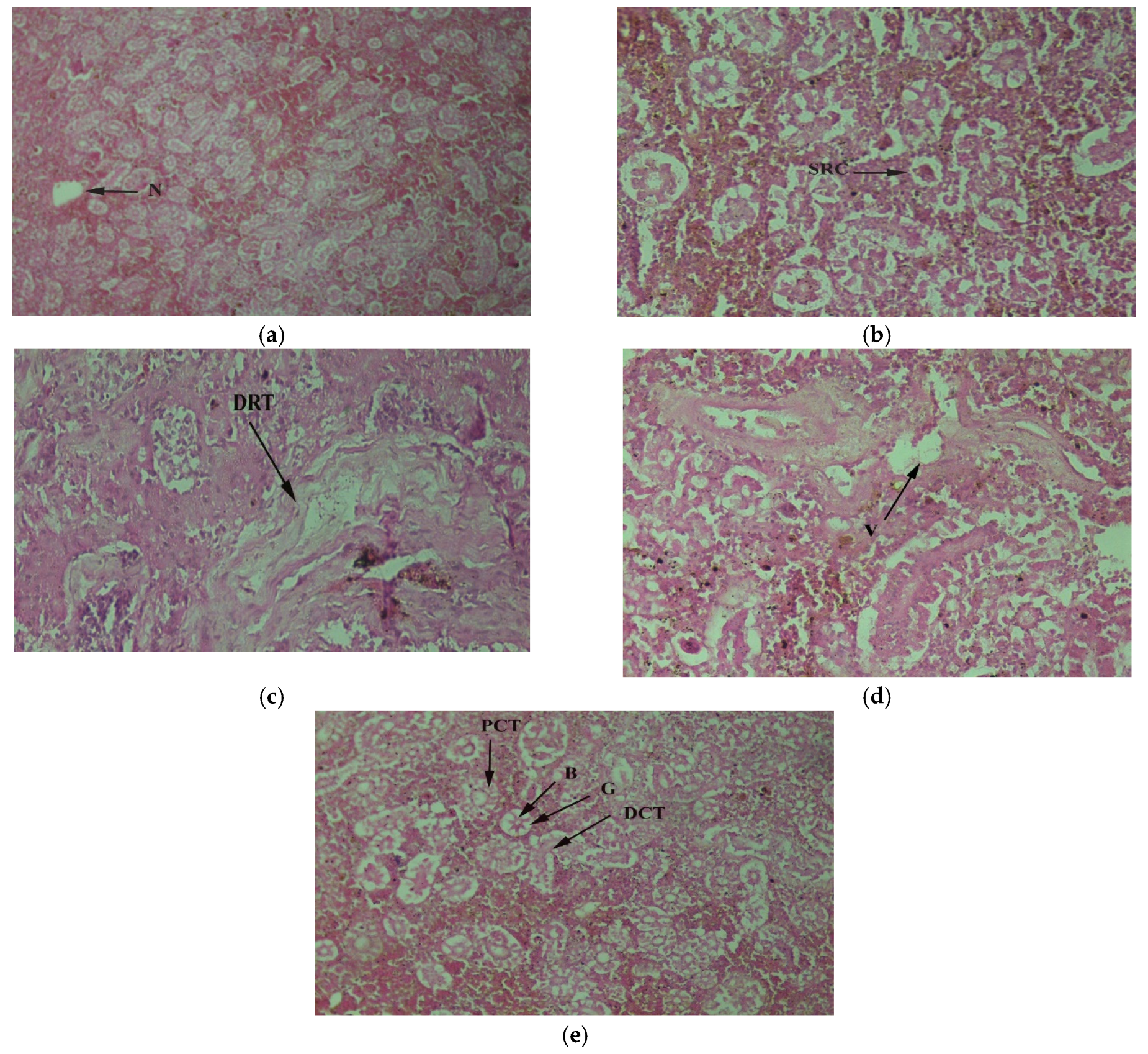 Toxics 10 00564 g005