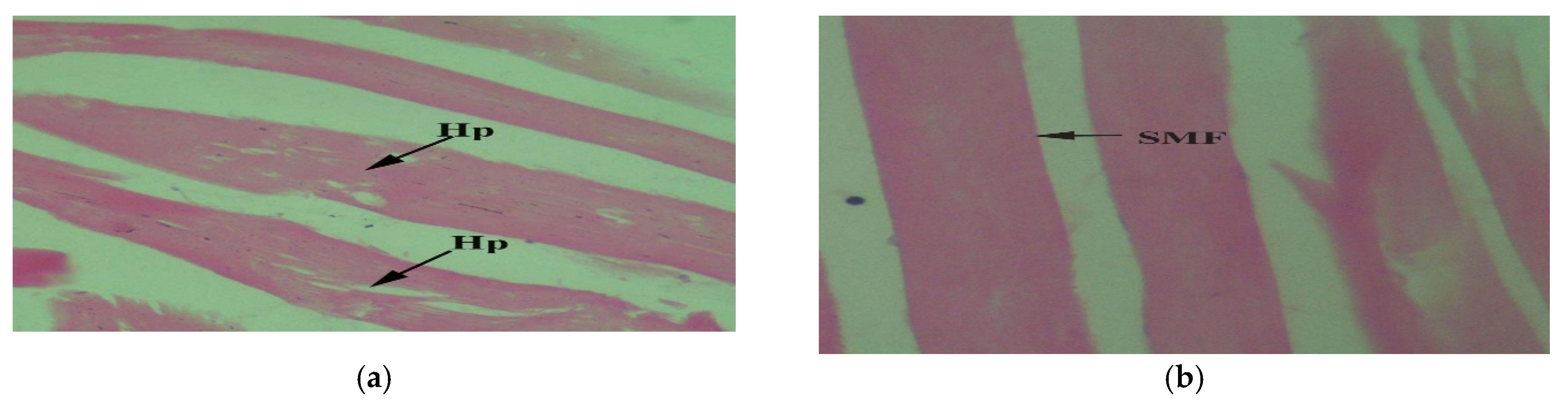 Toxics 10 00564 g006a