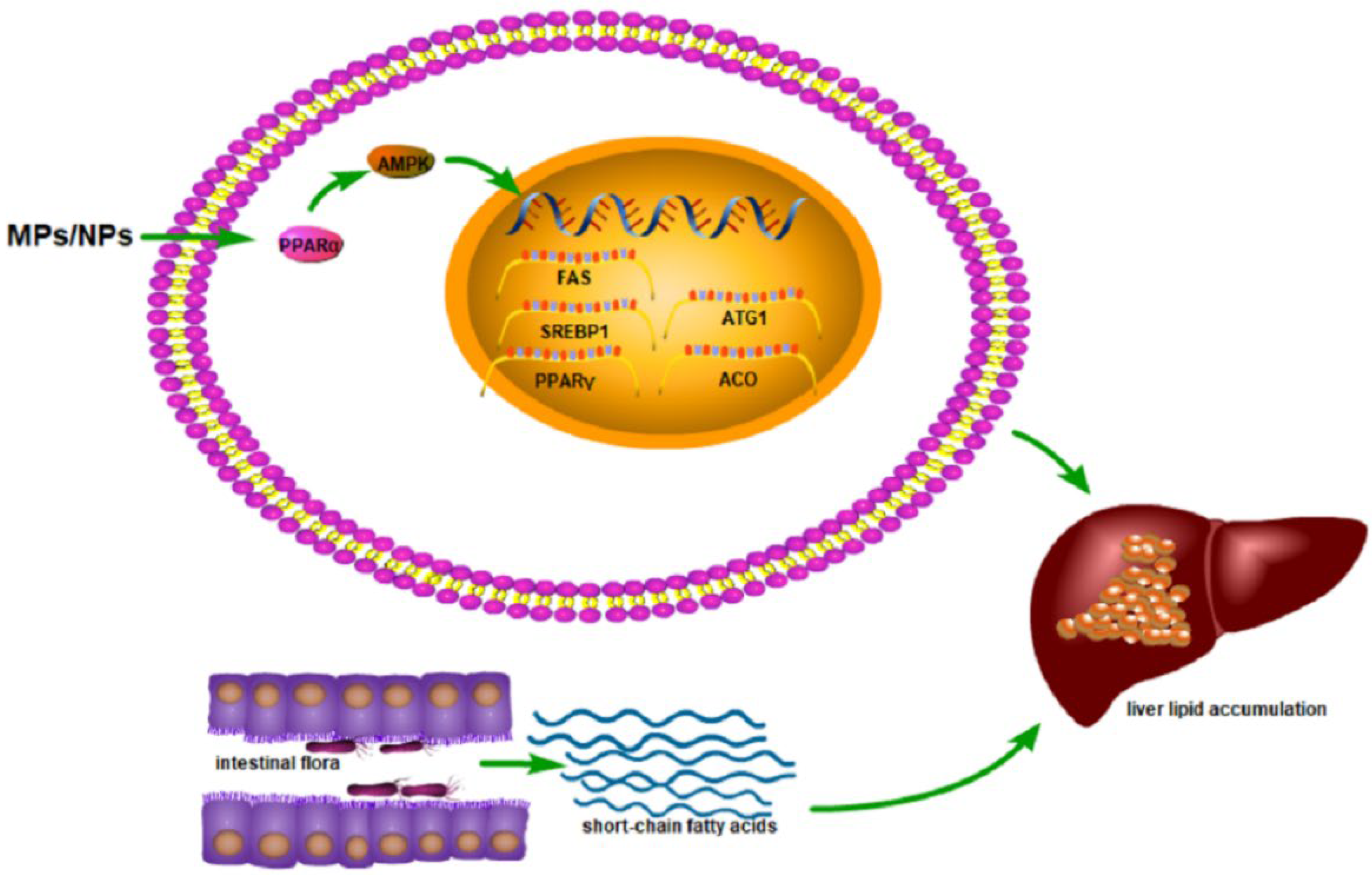 Toxics 10 00586 g004