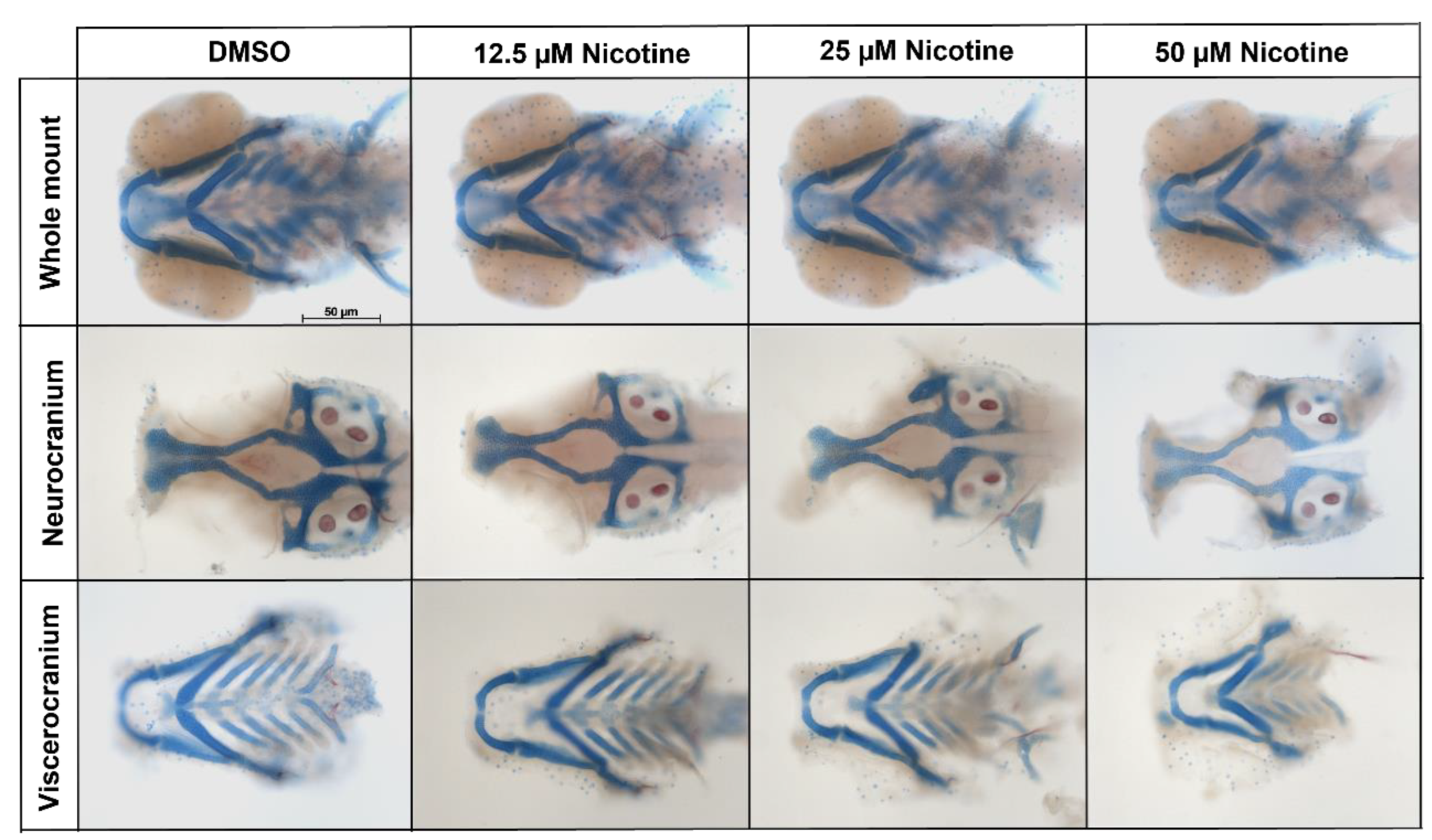 Toxics 10 00612 g002