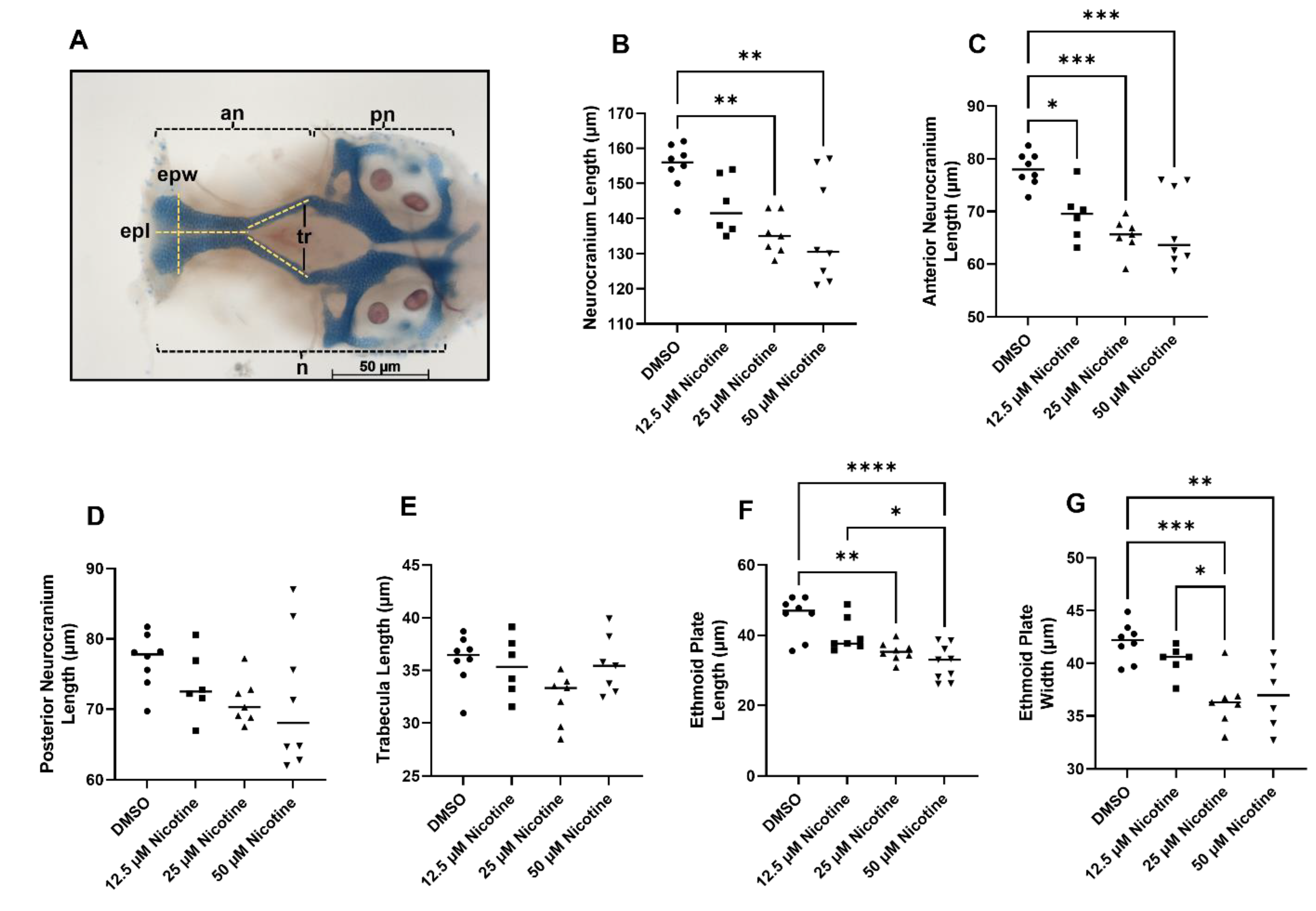 Toxics 10 00612 g004