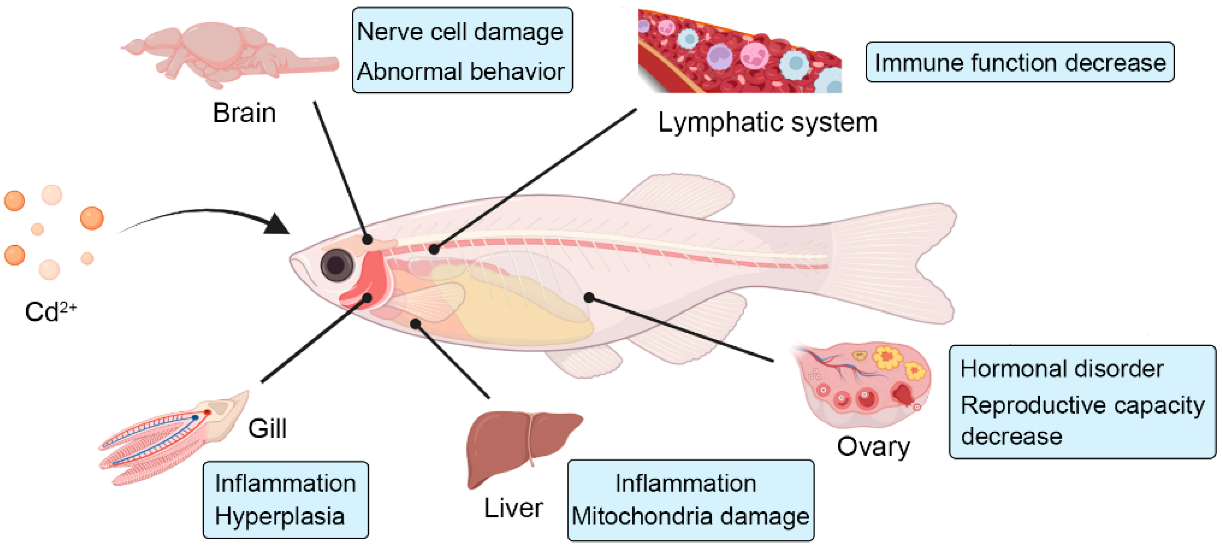 Toxics 10 00622 g001