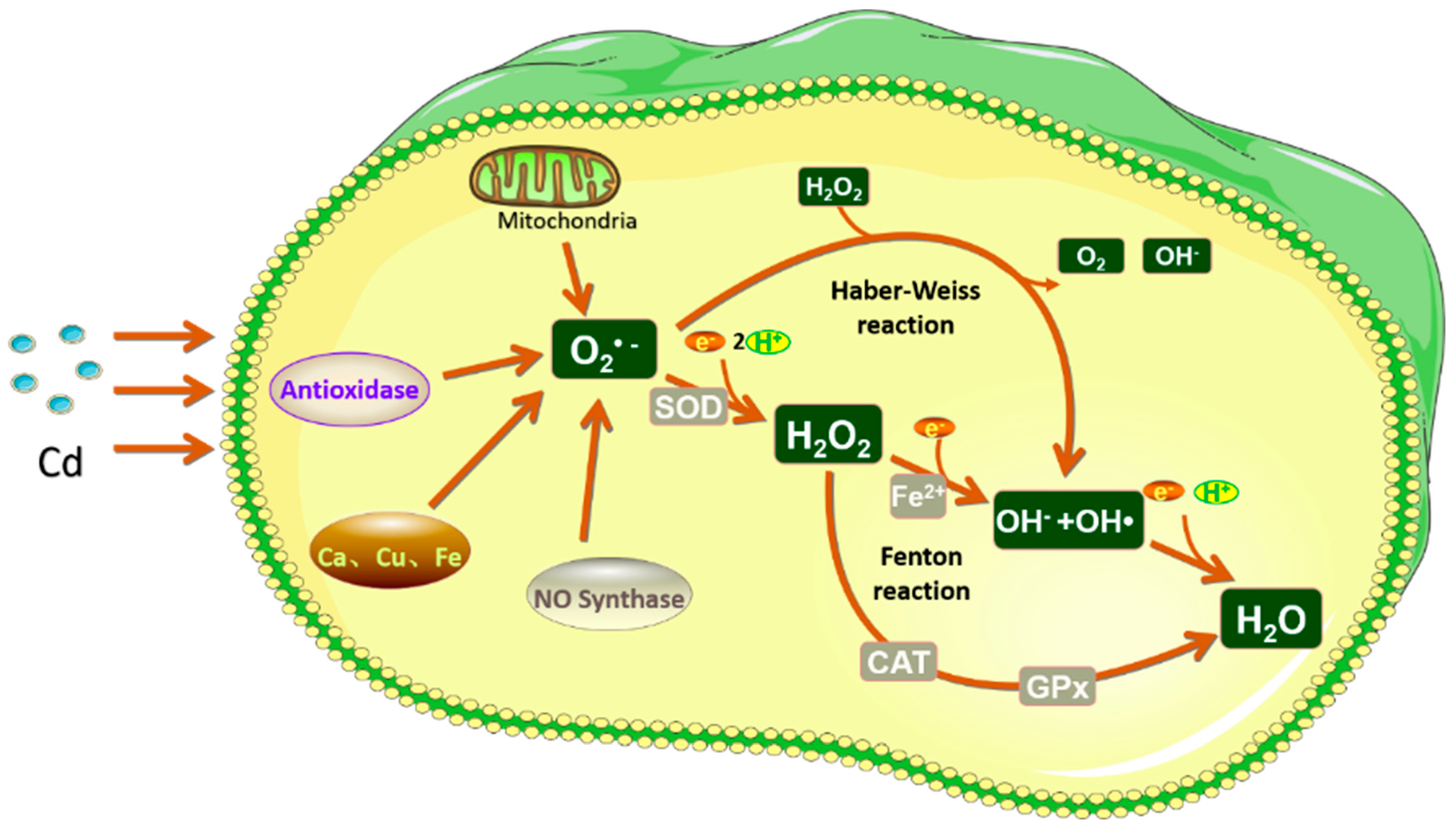 Toxics 10 00622 g002