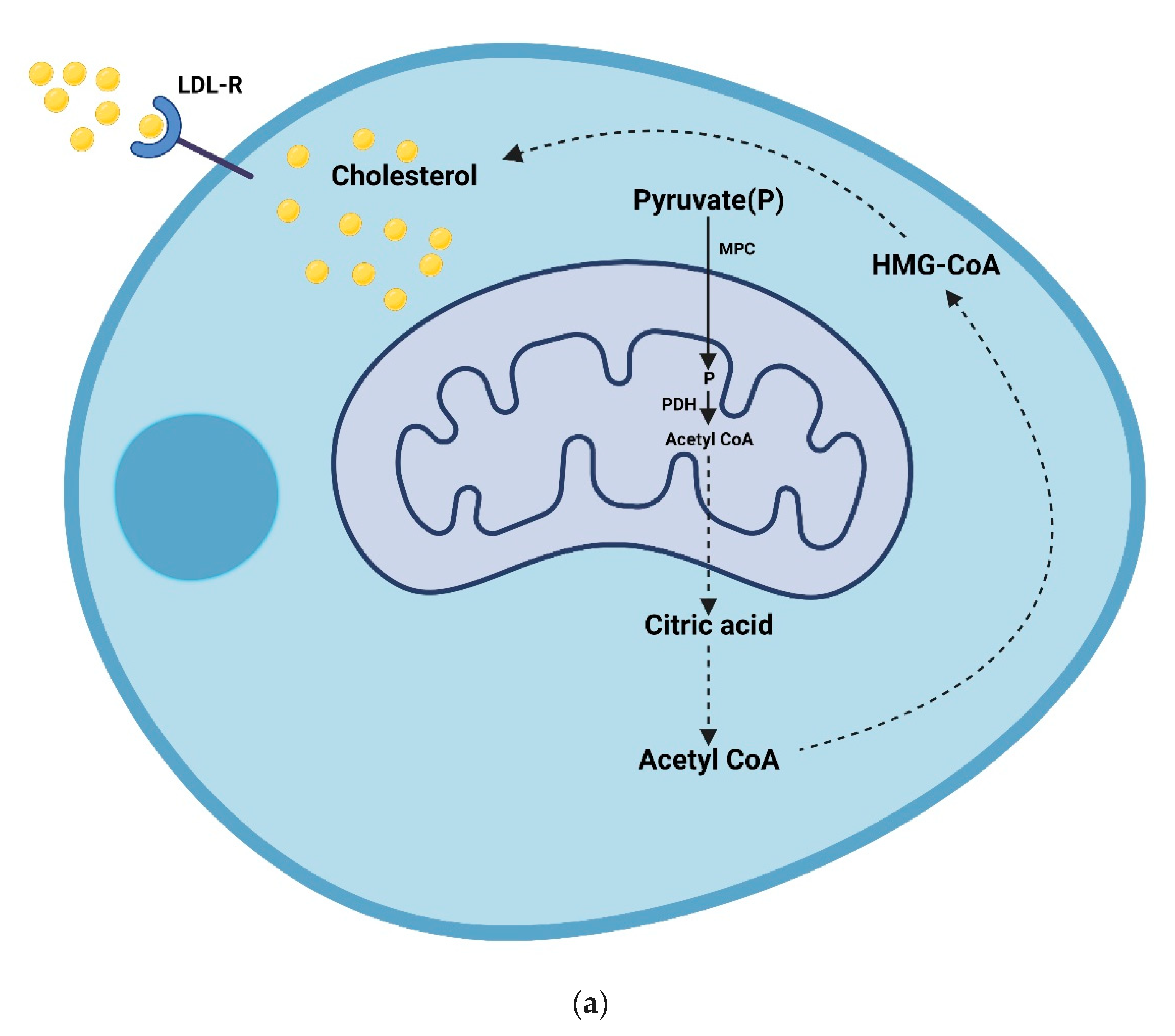 Toxics 10 00627 g003a