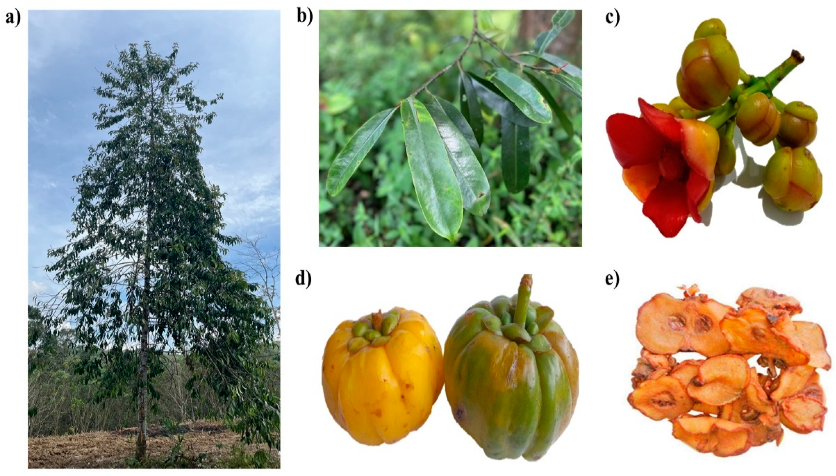 Toxics 10 00656 g002