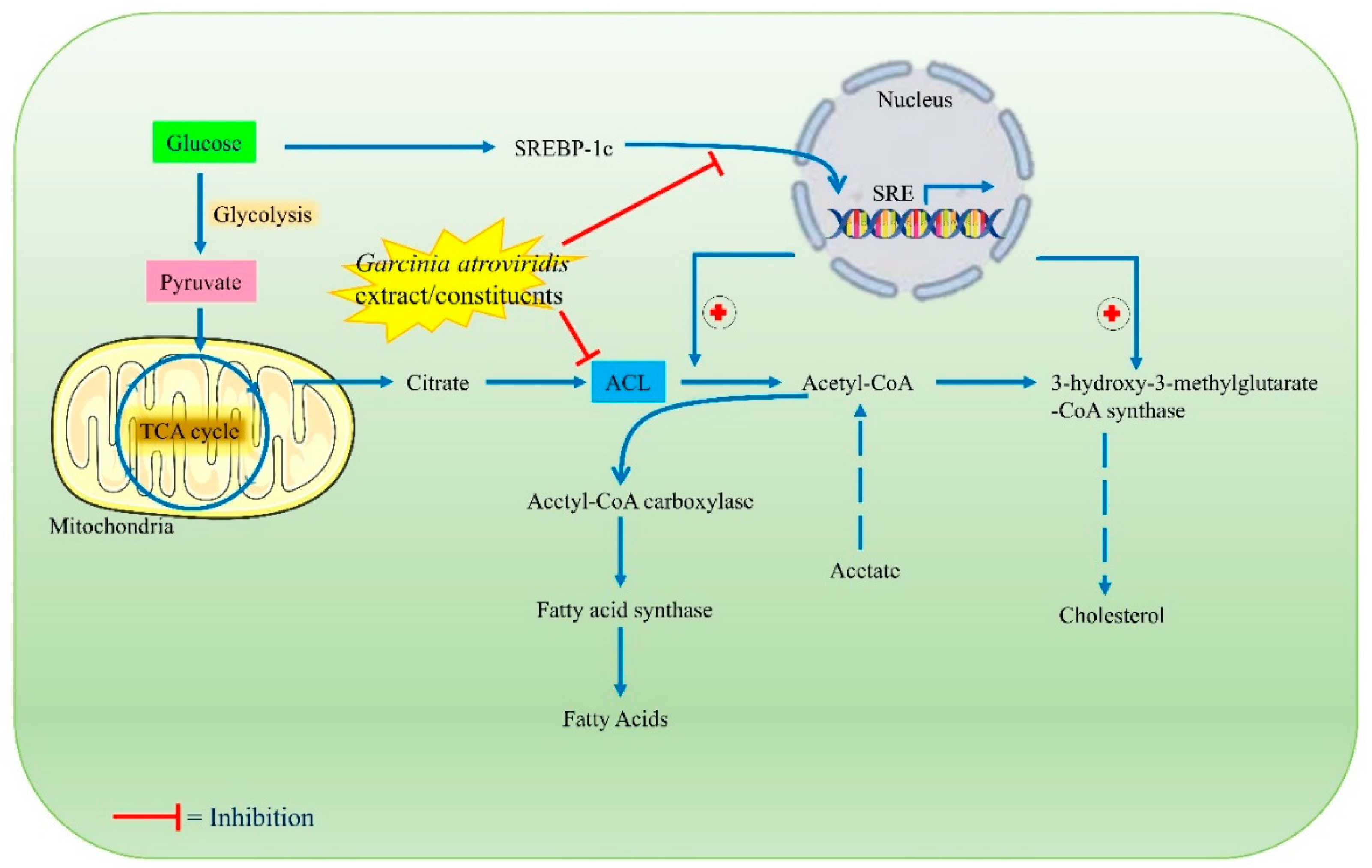 Toxics 10 00656 g005