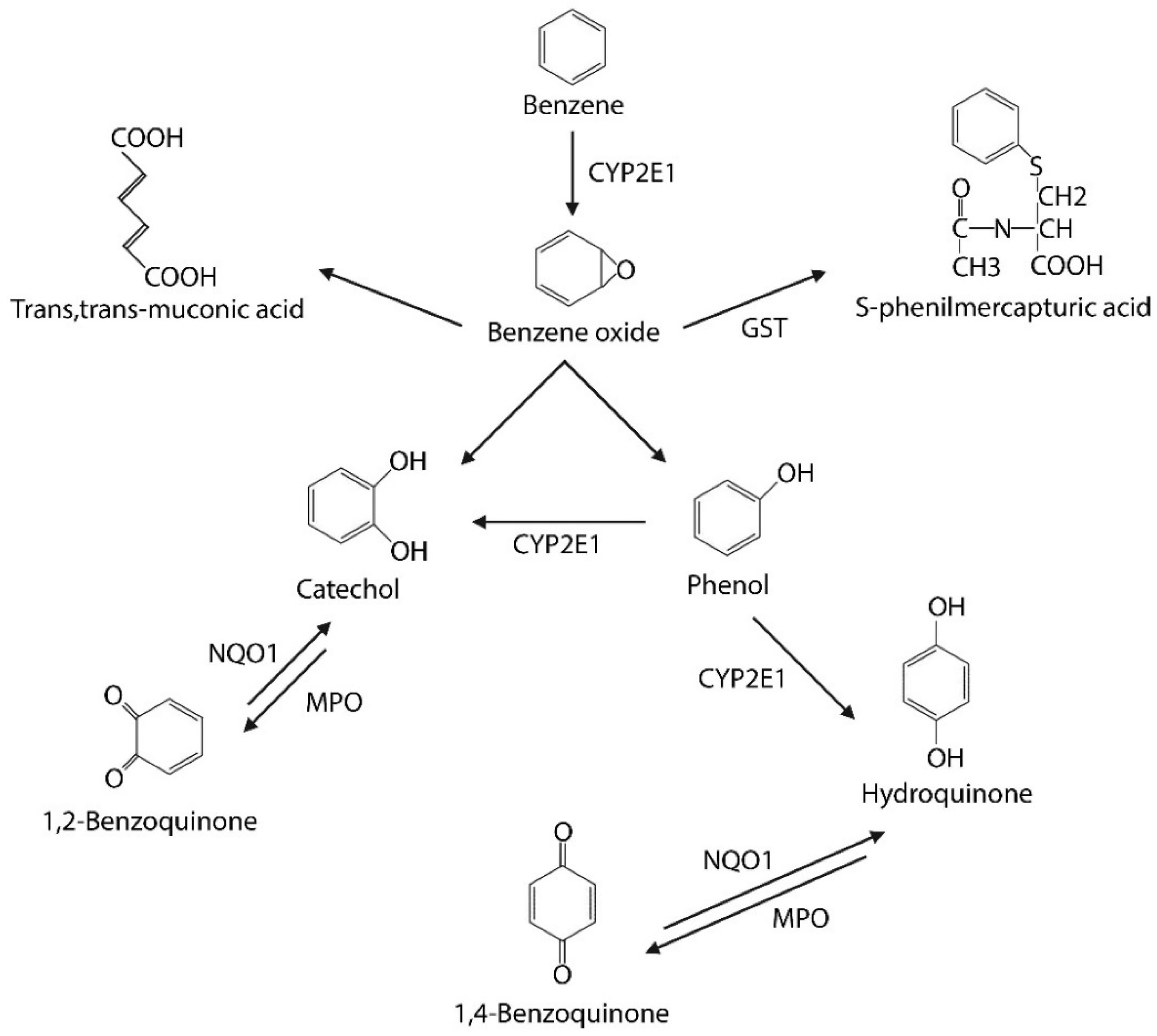 Toxics 10 00678 g001 Toxics 10 00678 g001