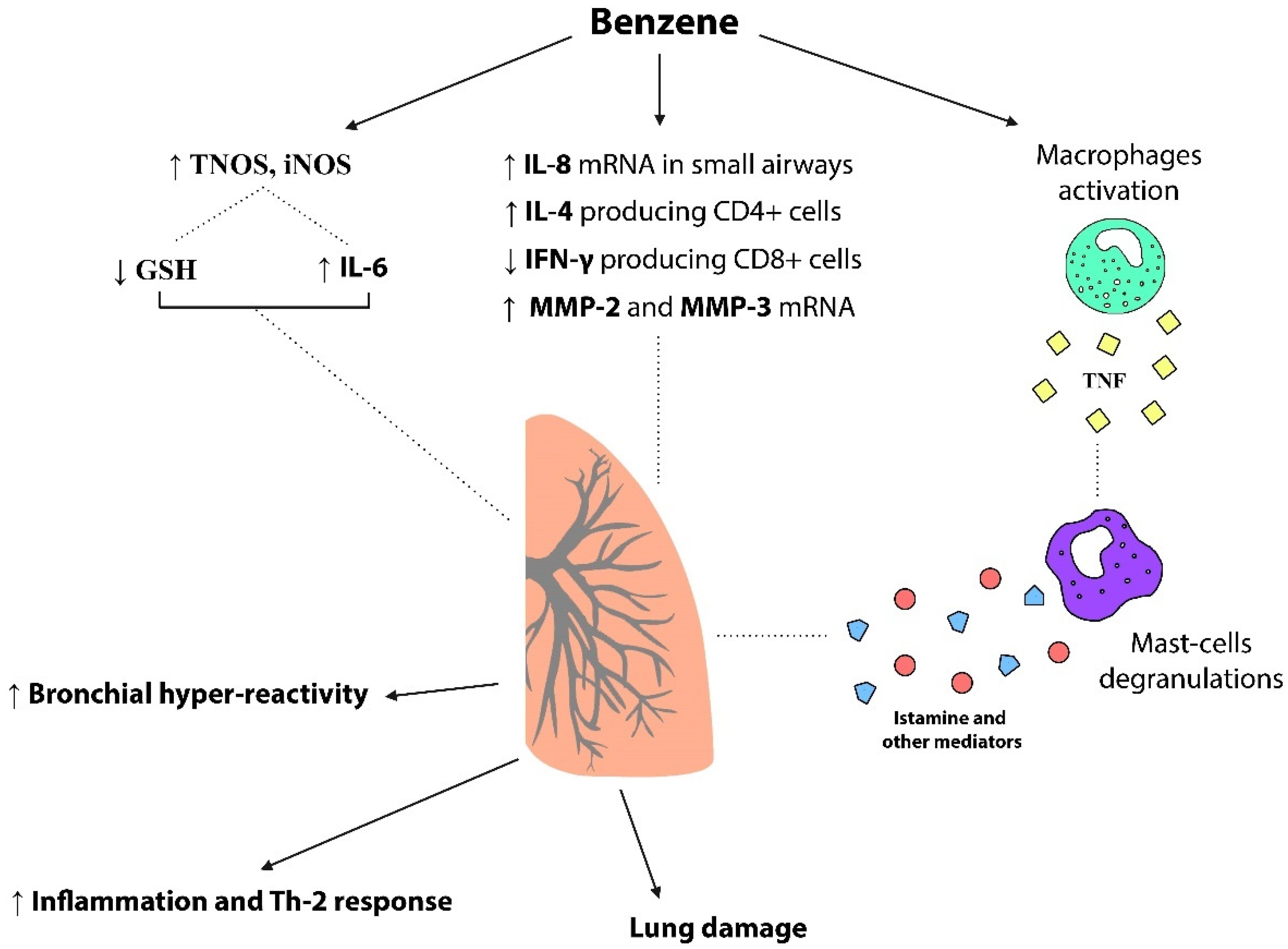 Toxics 10 00678 g003 Toxics 10 00678 g003