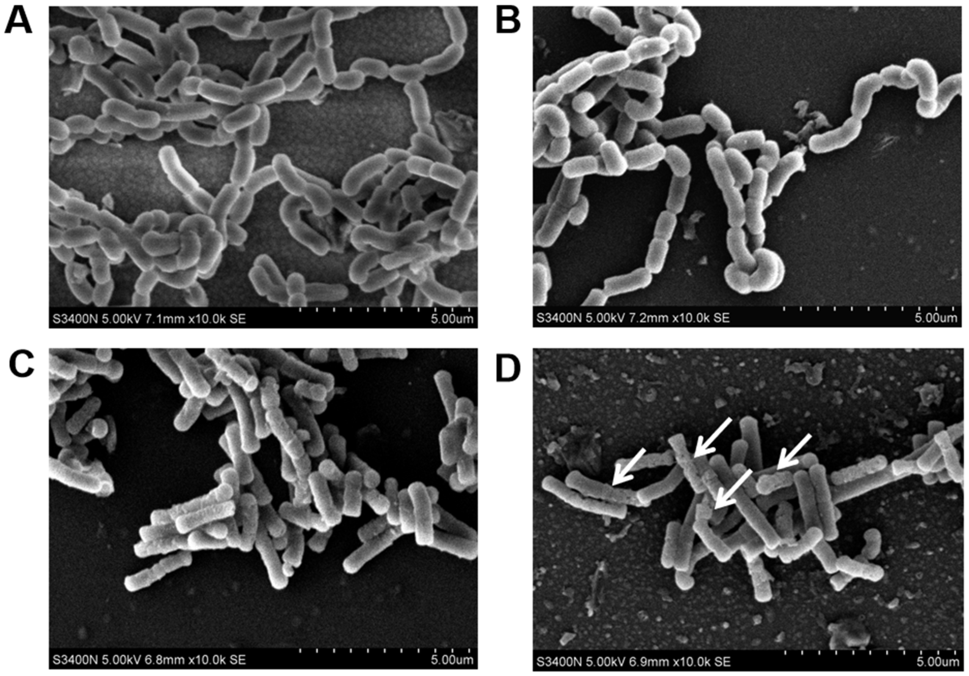 Toxics 10 00680 g007