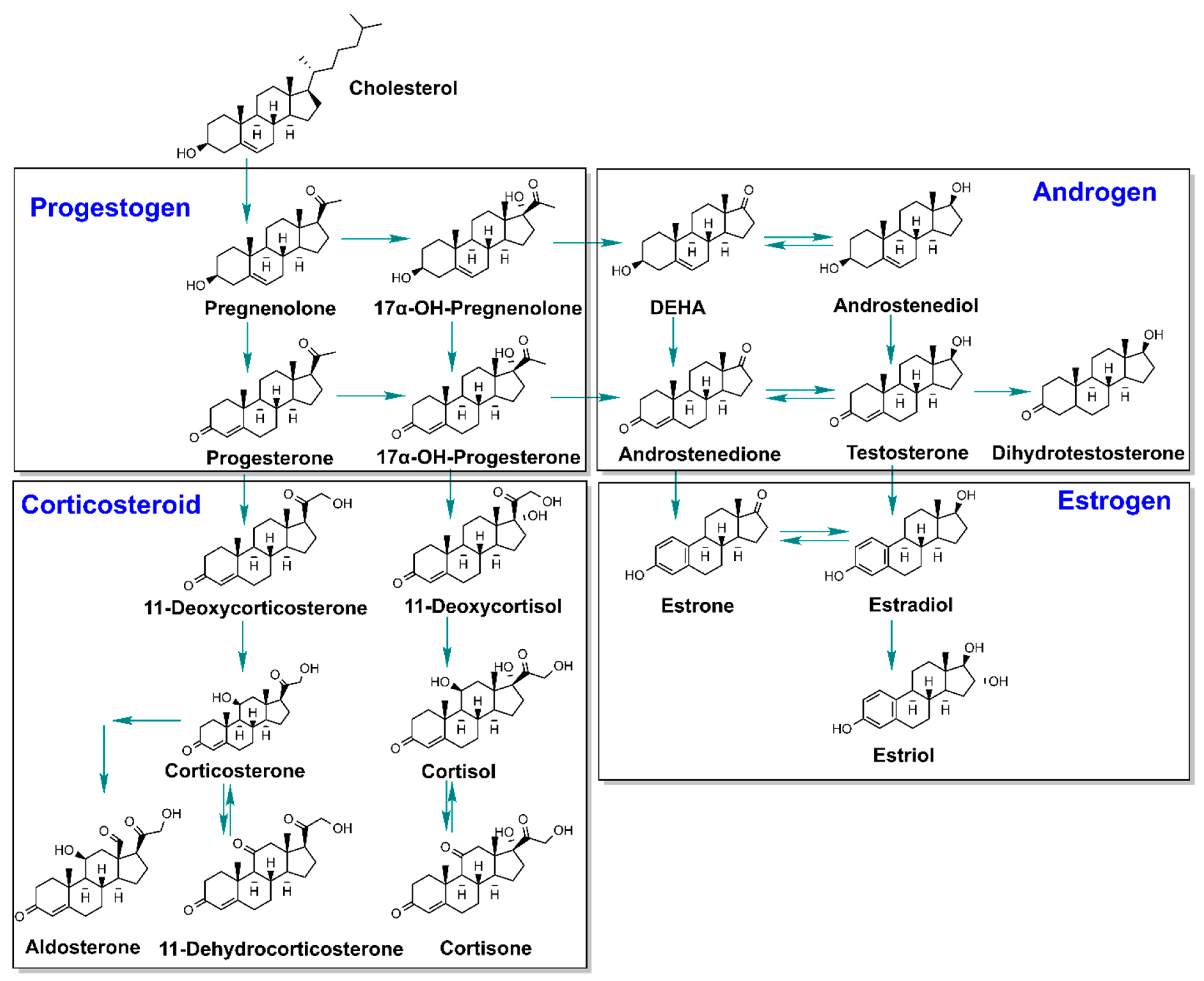 Toxics 10 00687 g001