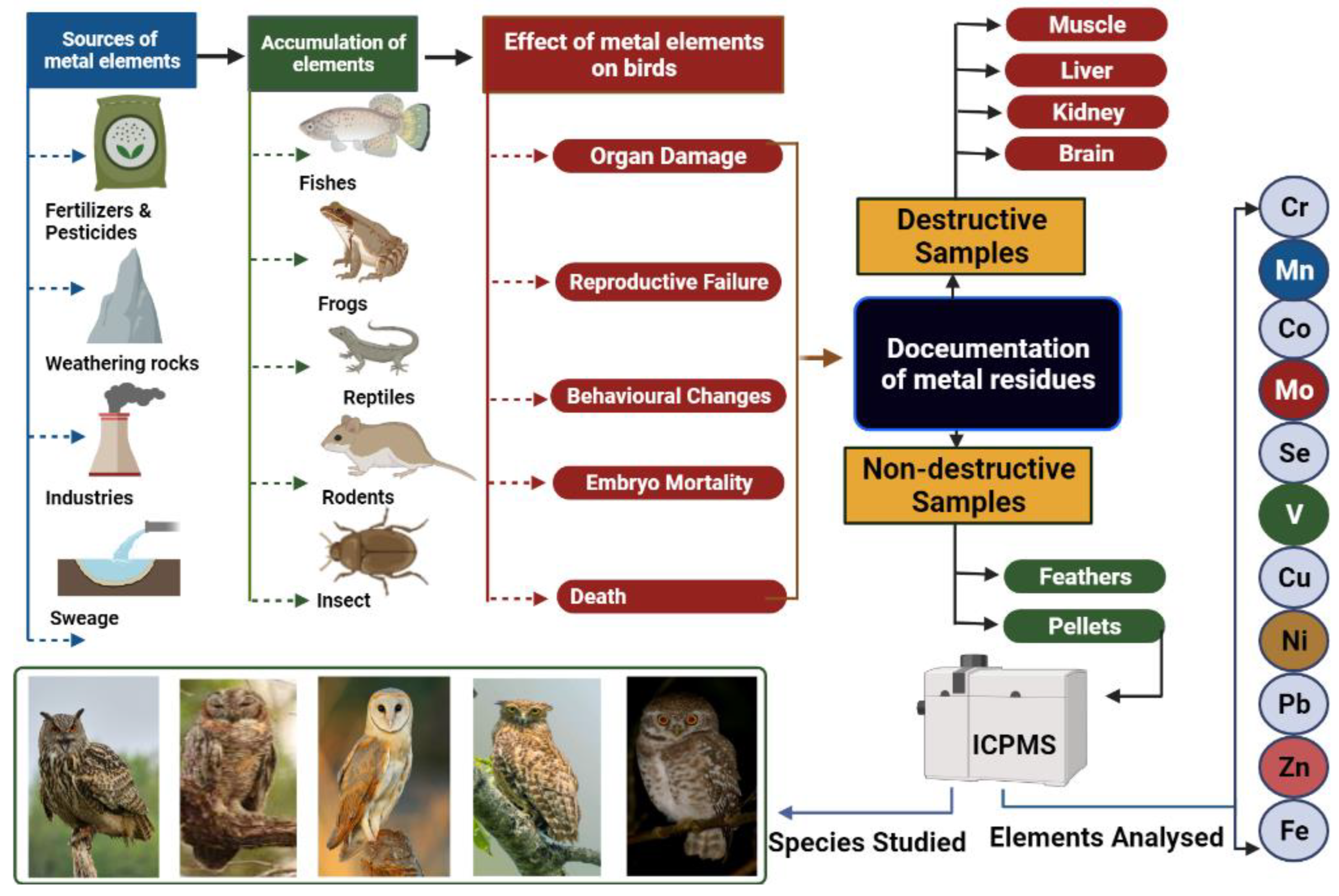 Toxics 10 00693 g001