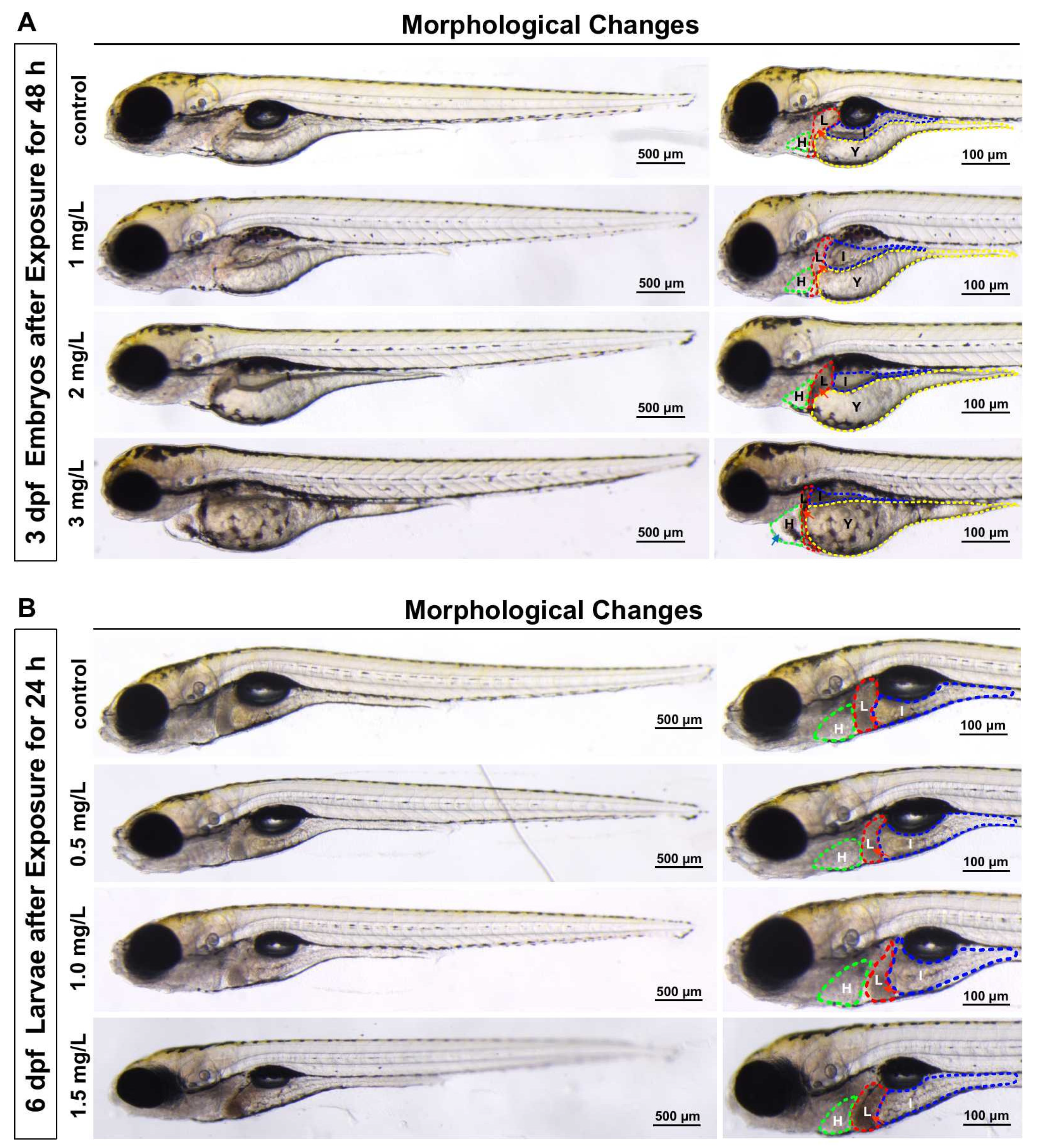 Toxics 10 00698 g002 Toxics 10 00698 g002