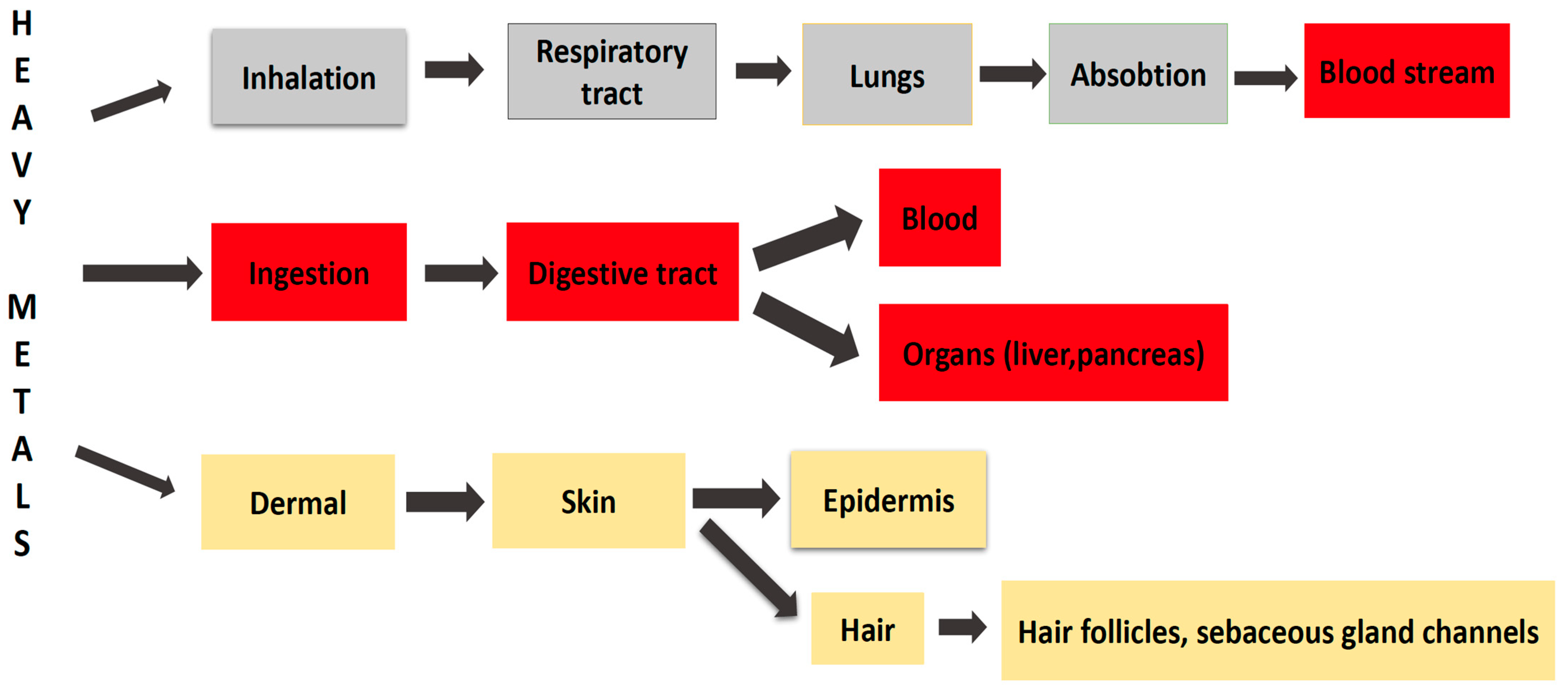 Toxics 10 00716 g010