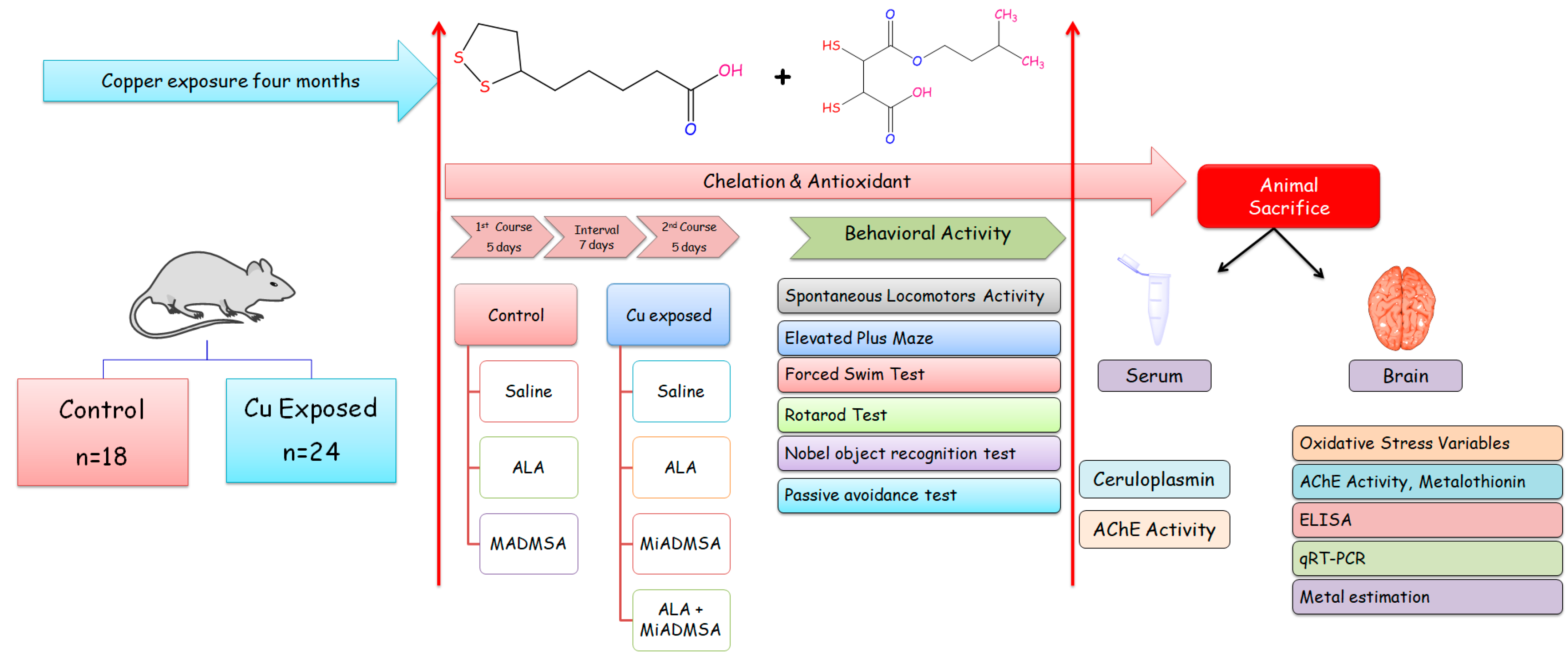 Toxics 10 00718 g001