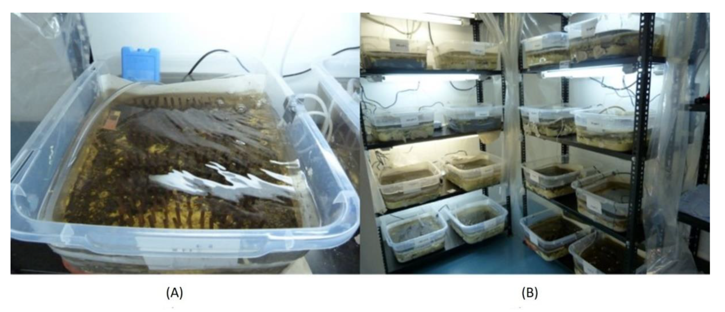 Toxics 10 00720 g001 Toxics 10 00720 g001