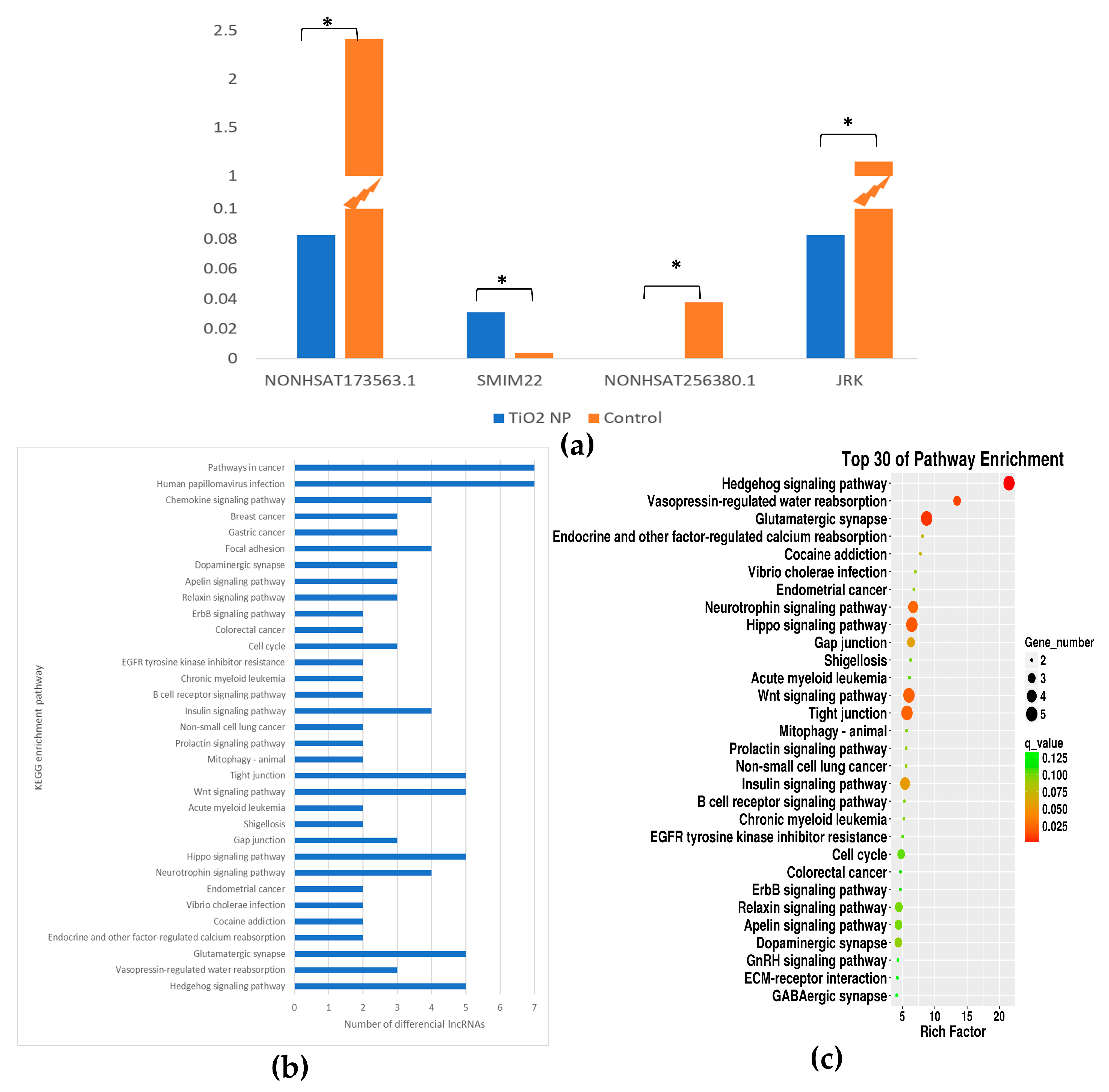 Toxics 10 00724 g006