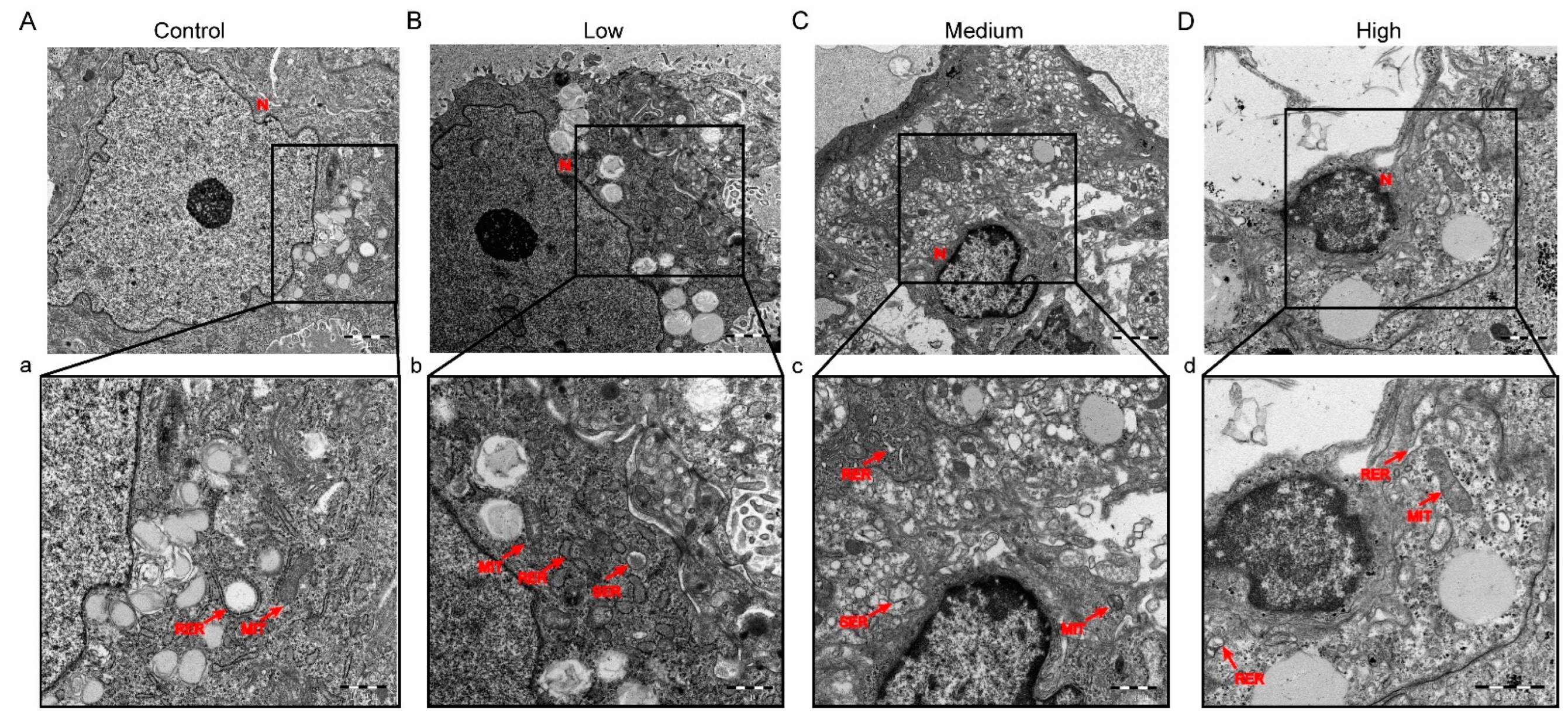 Toxics 10 00733 g003